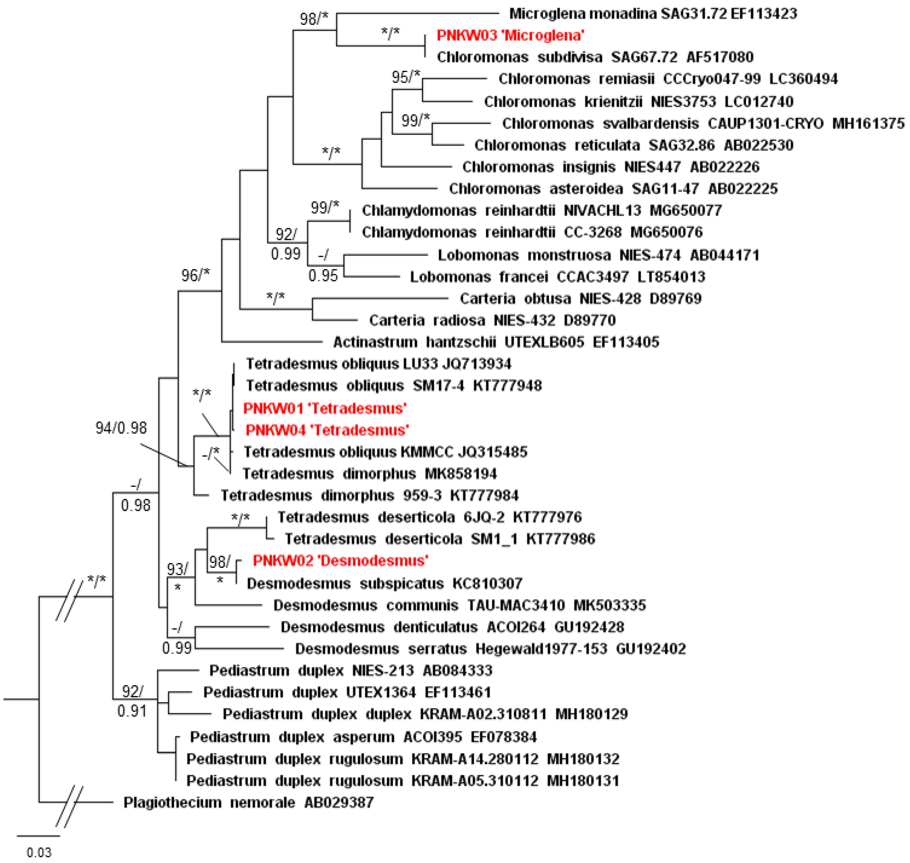 Molecules 27 06856 g003