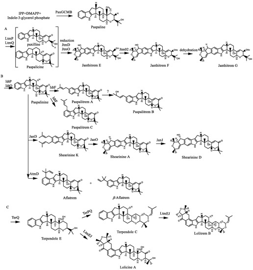 Molecules | Free Full-Text | The Biosynthesis Related Enzyme