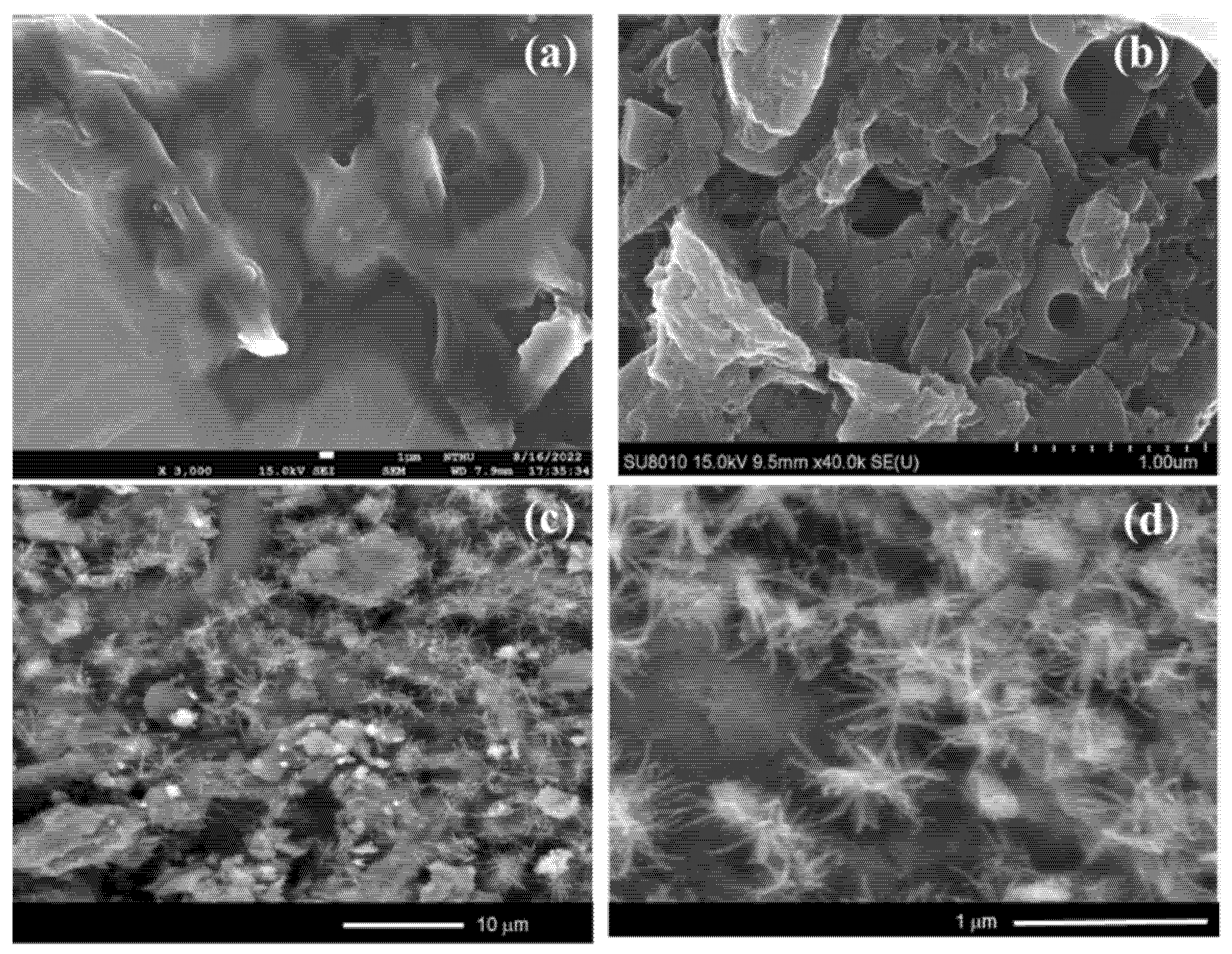 Molecules 27 06871 g002