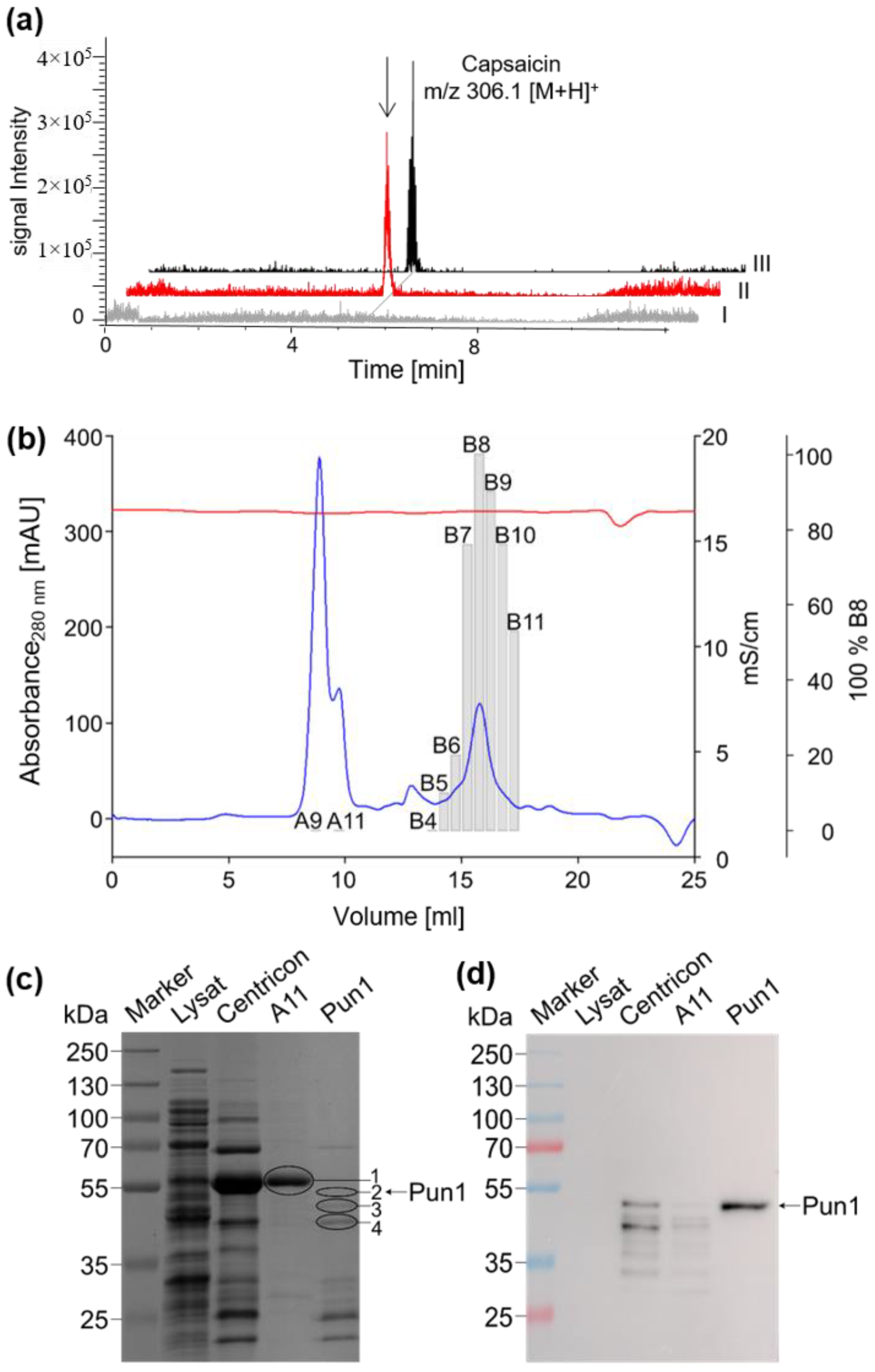 Molecules 27 06878 g002