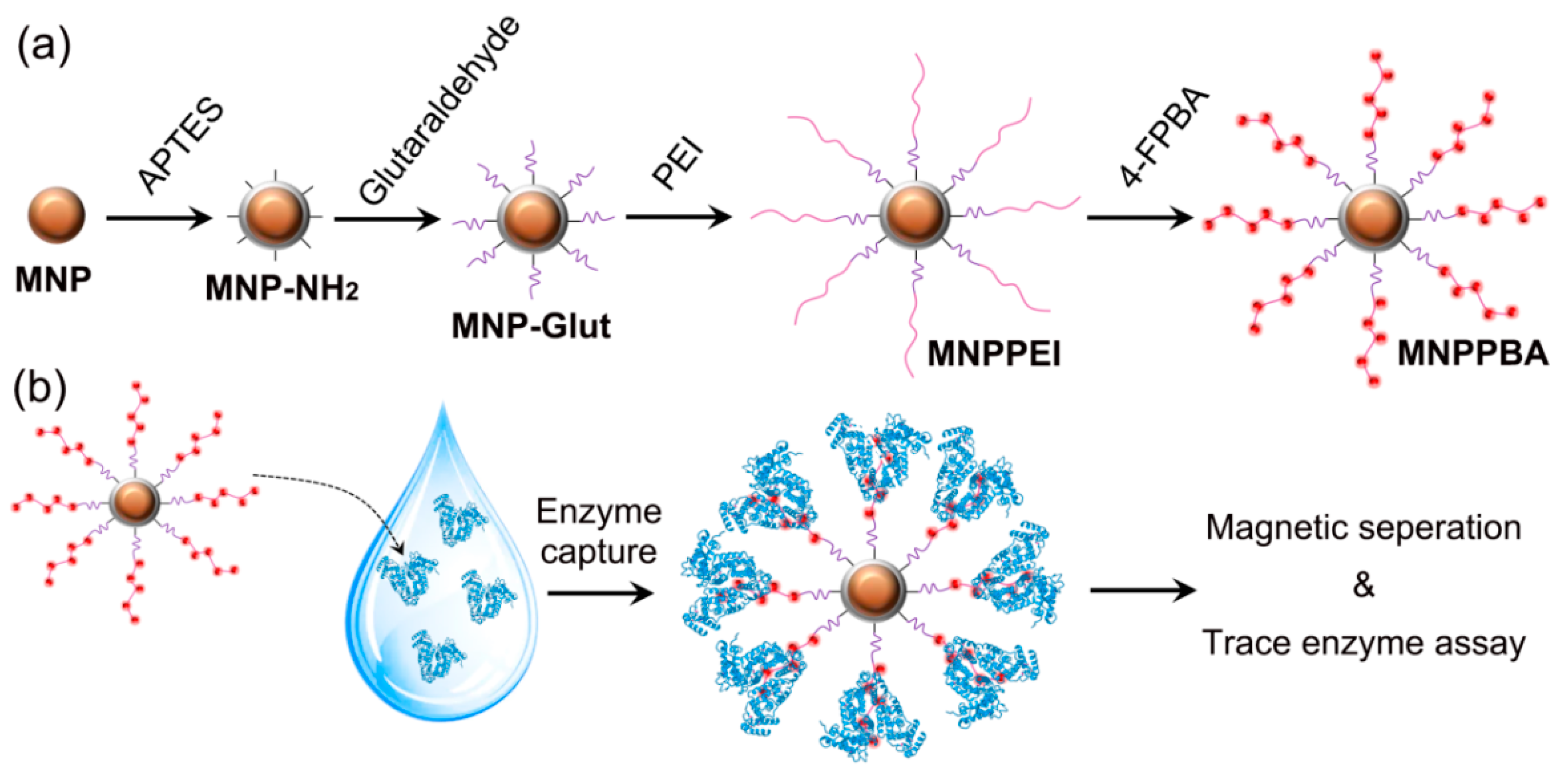 Molecules 27 06883 g001