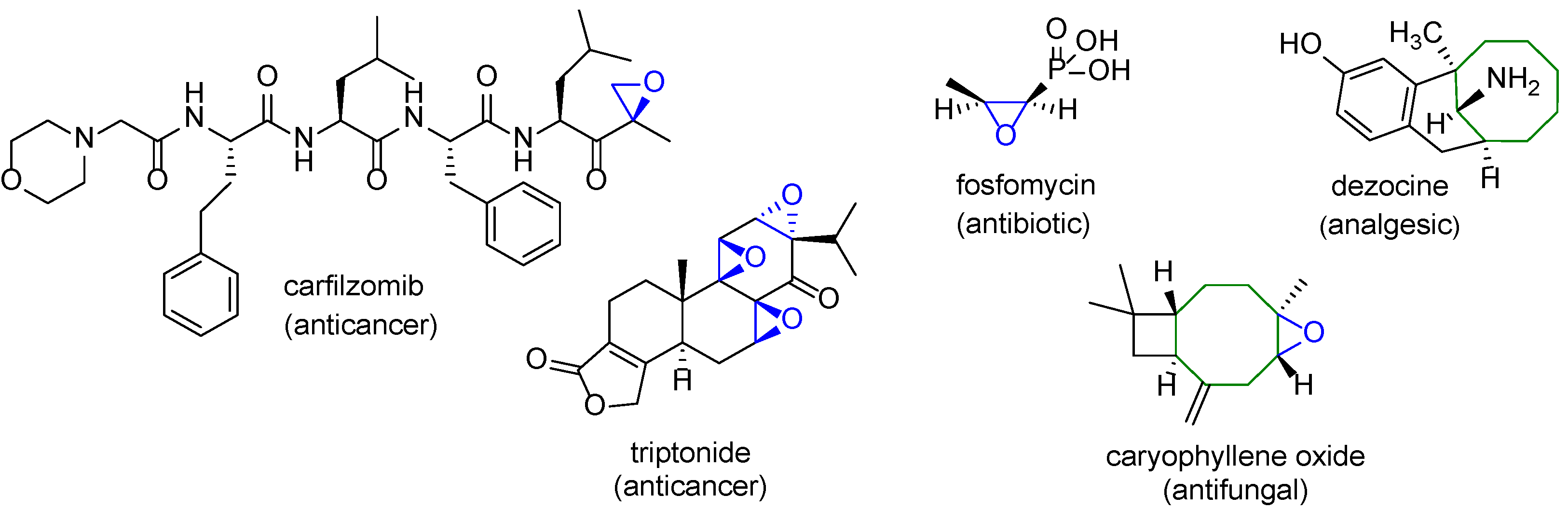 Molecules 27 06889 g001 Molecules 27 06889 g001