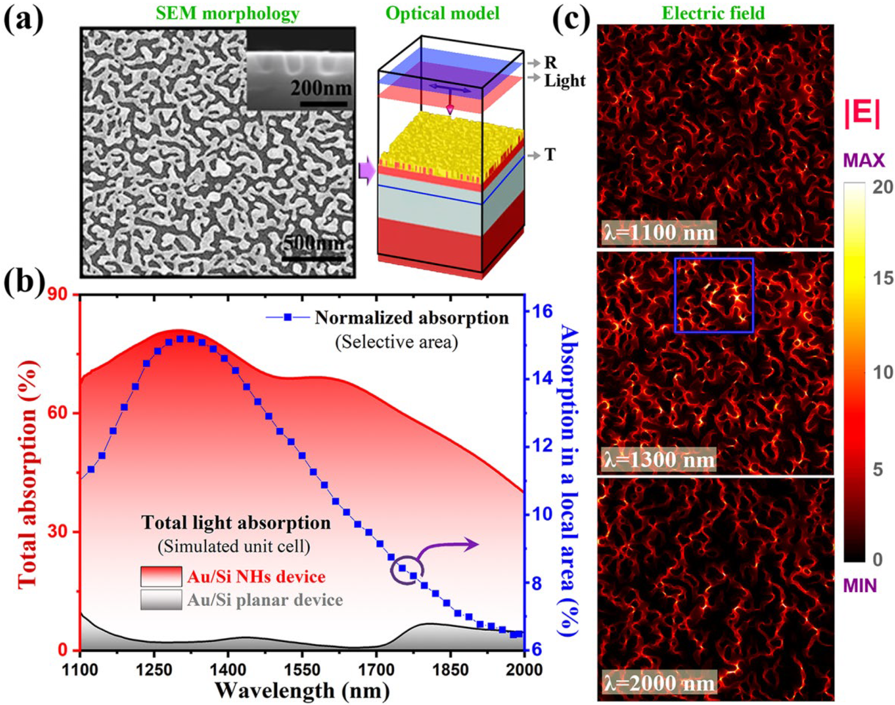 Molecules 27 06922 g003