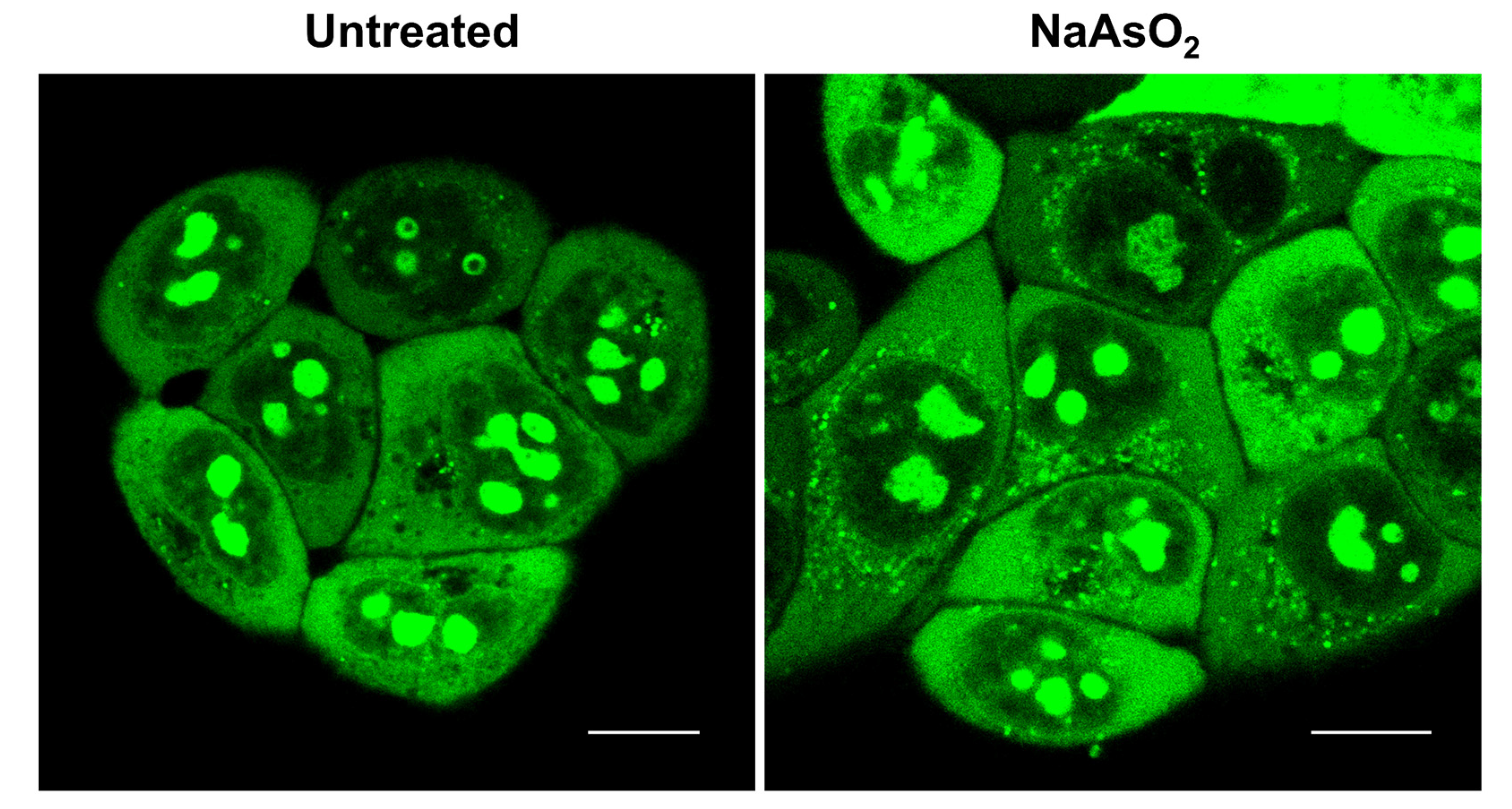 Molecules 27 06927 g007 Molecules 27 06927 g007