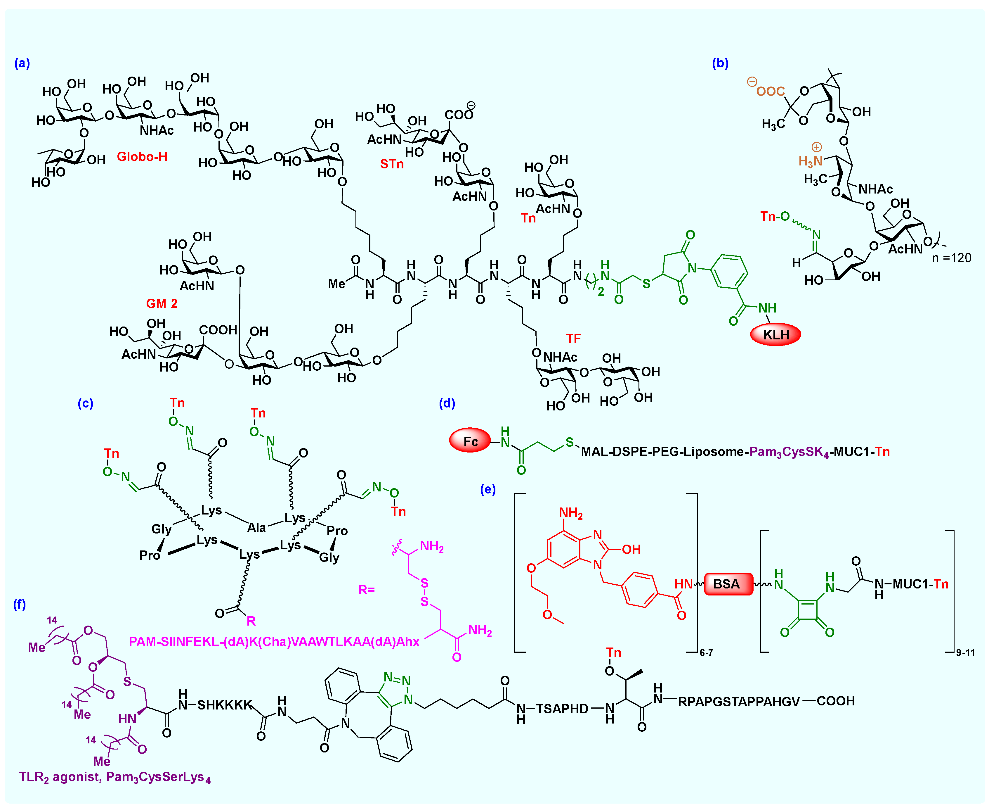 Molecules 27 06933 g004