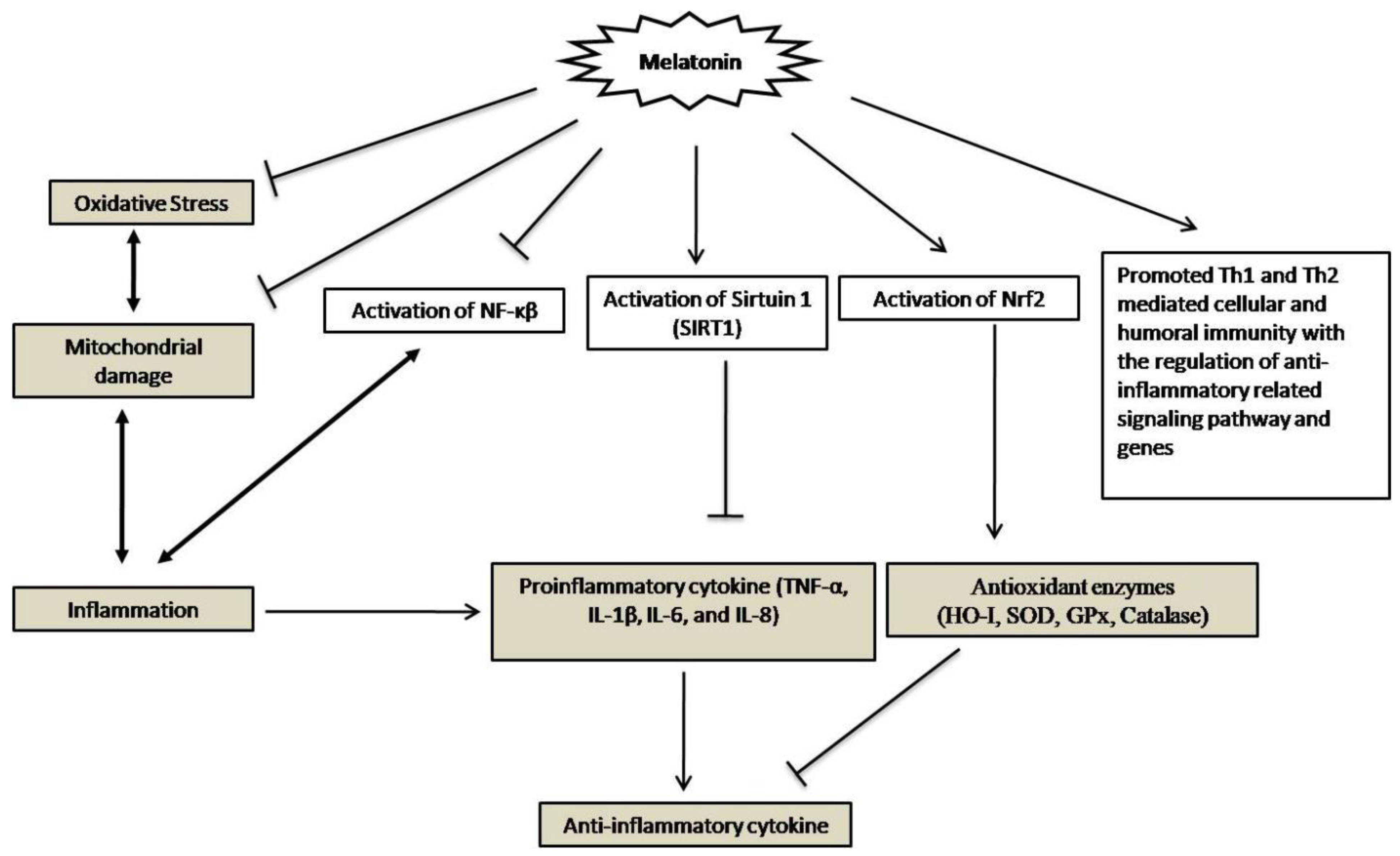 Molecules | Free Full-Text | Potential Therapeutic Approach Of ...