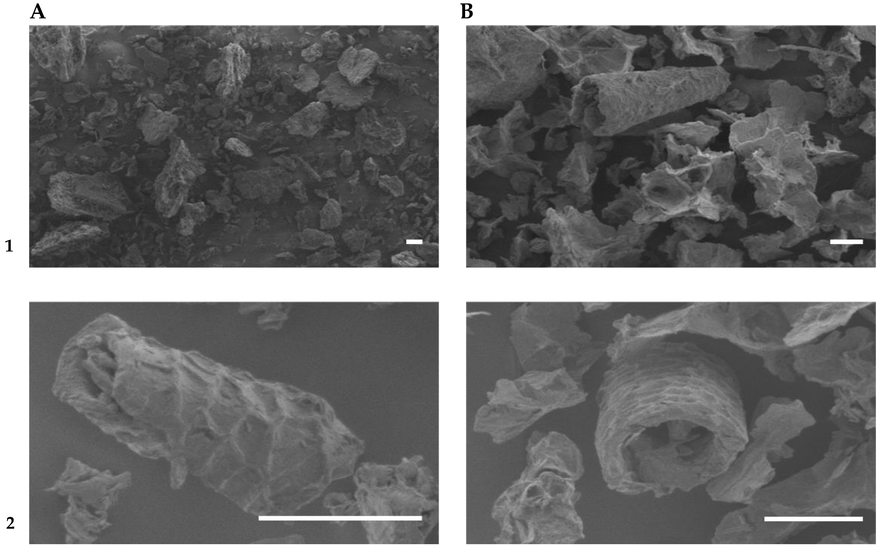 Molecules 27 06937 g006