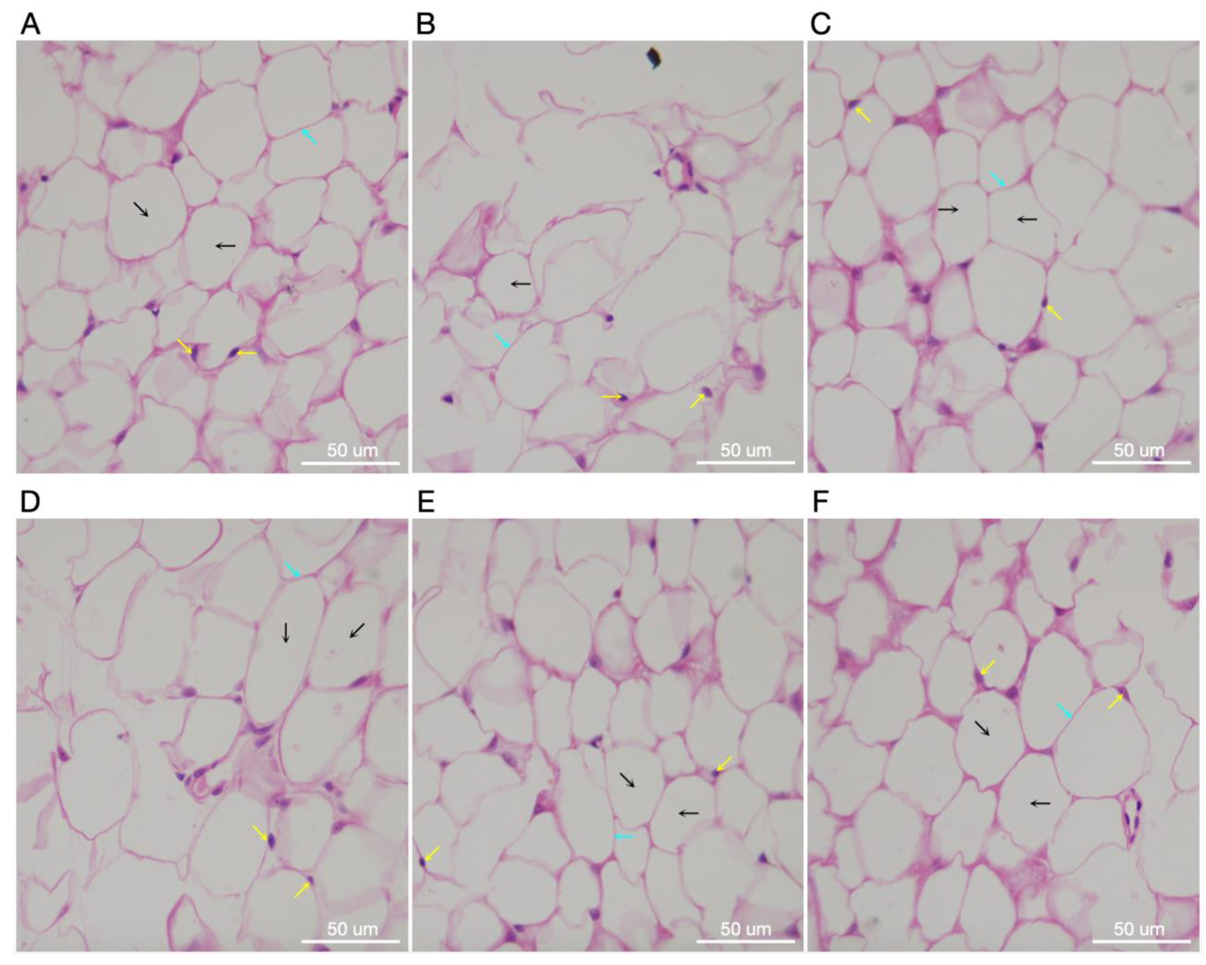 Molecules 27 06941 g007