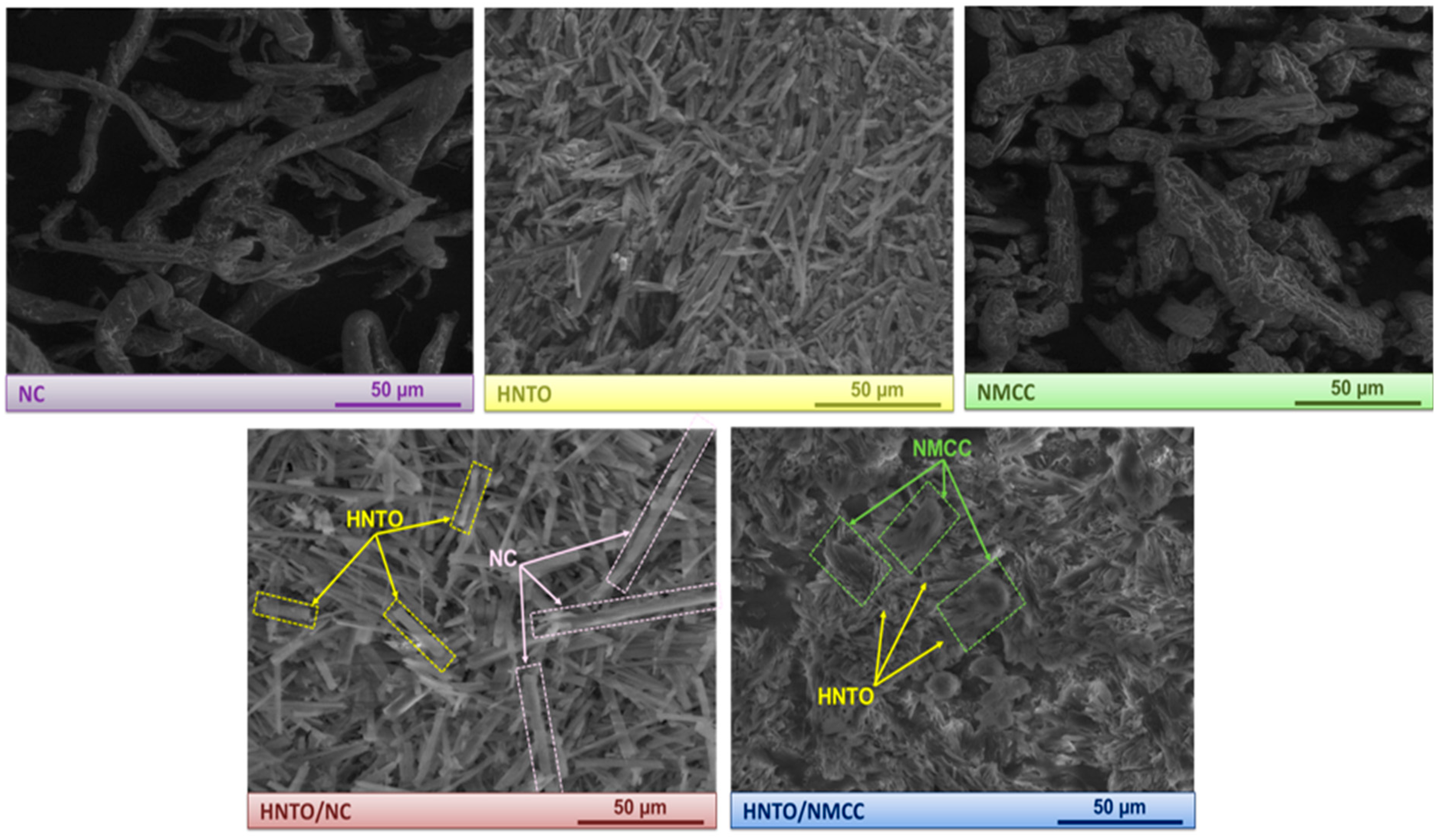 Molecules 27 06945 g002 Molecules 27 06945 g002