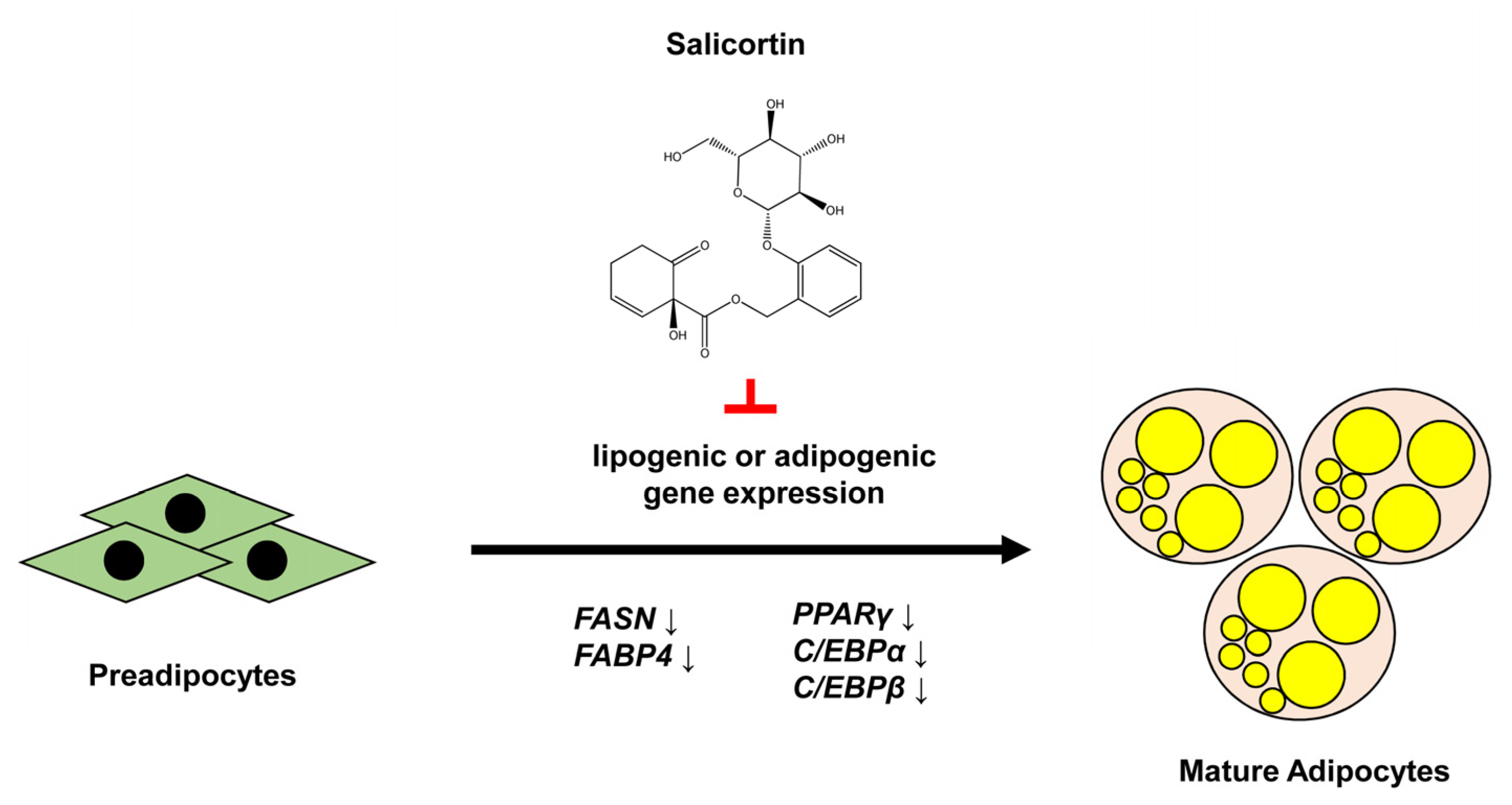 Molecules 27 06954 g005 Molecules 27 06954 g005