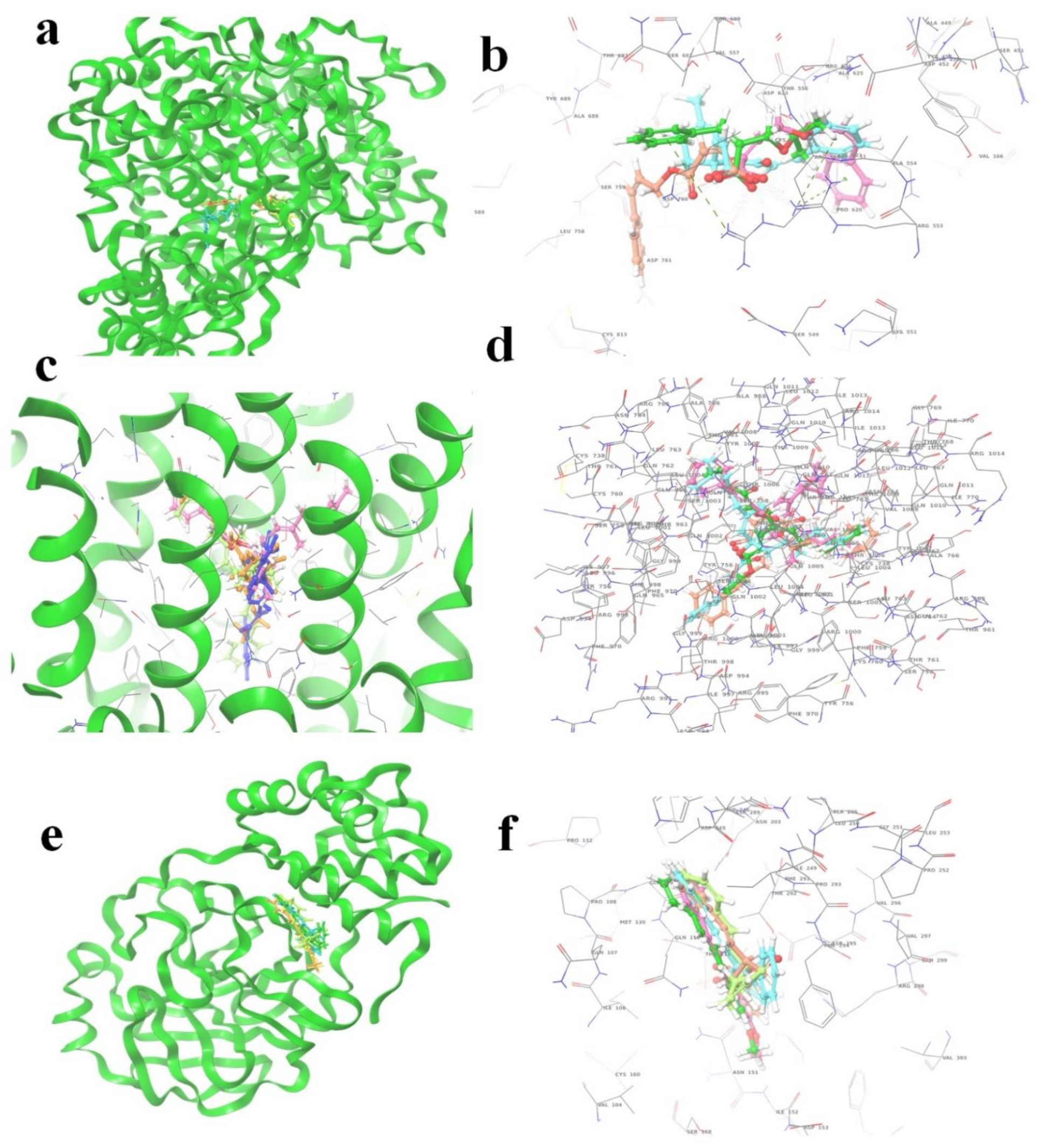 Molecules 27 06962 g005