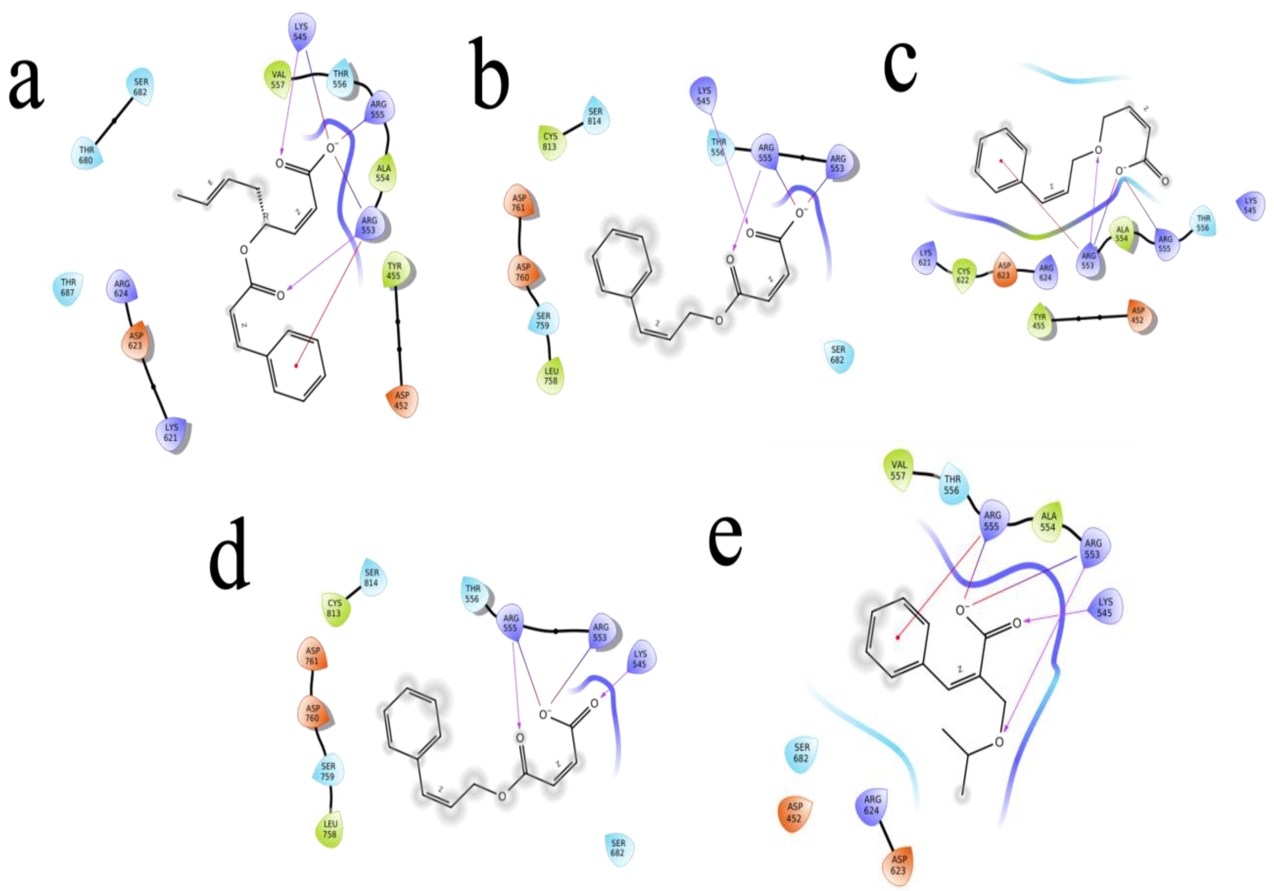 Molecules 27 06962 g006