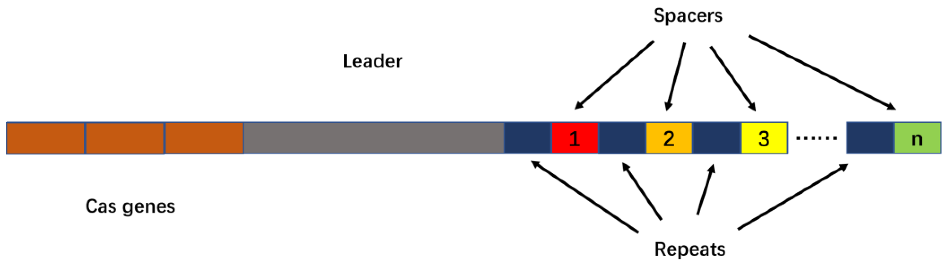 Molecules 27 06999 g001 Molecules 27 06999 g001