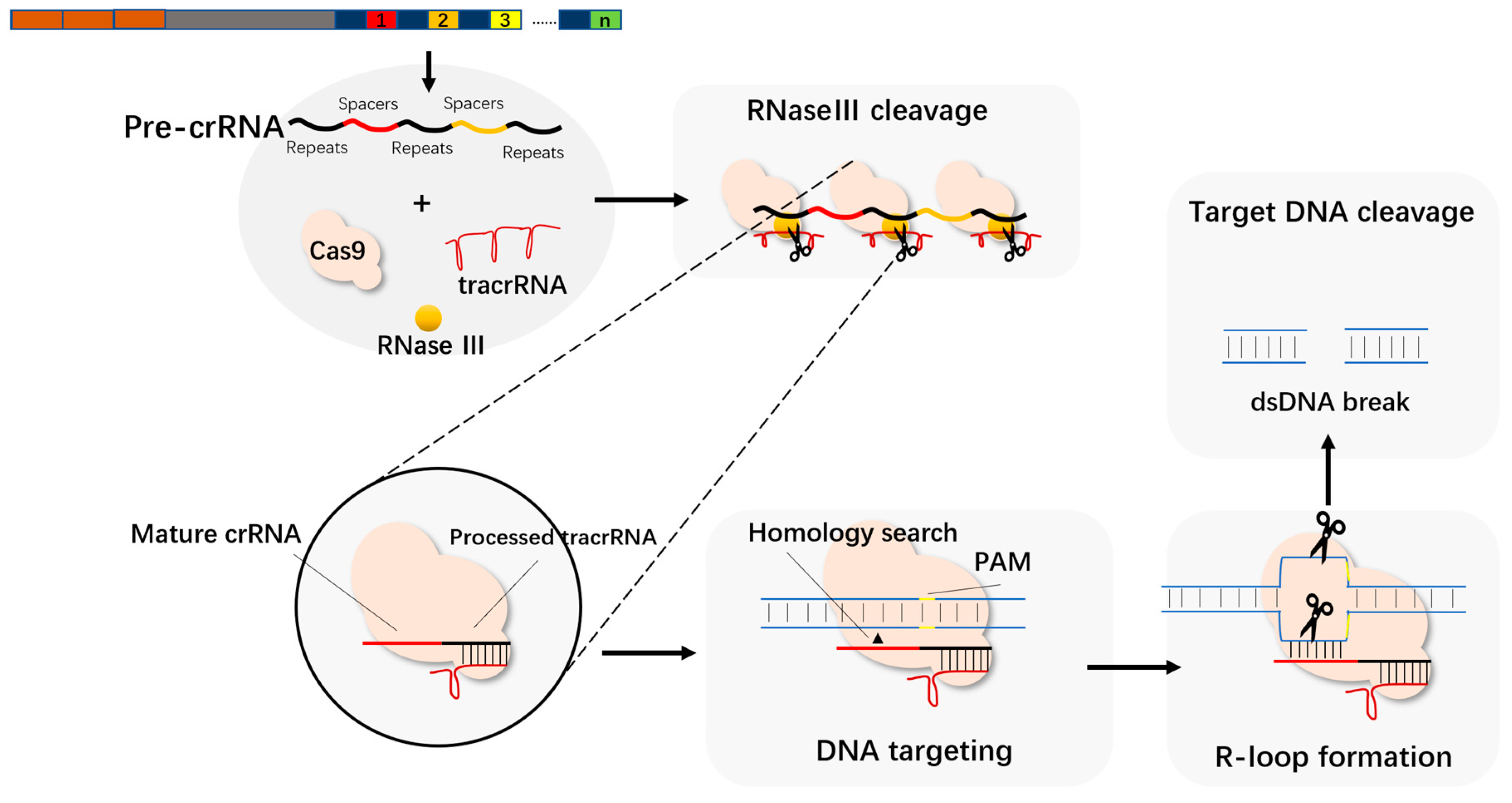 Molecules 27 06999 g003 Molecules 27 06999 g003