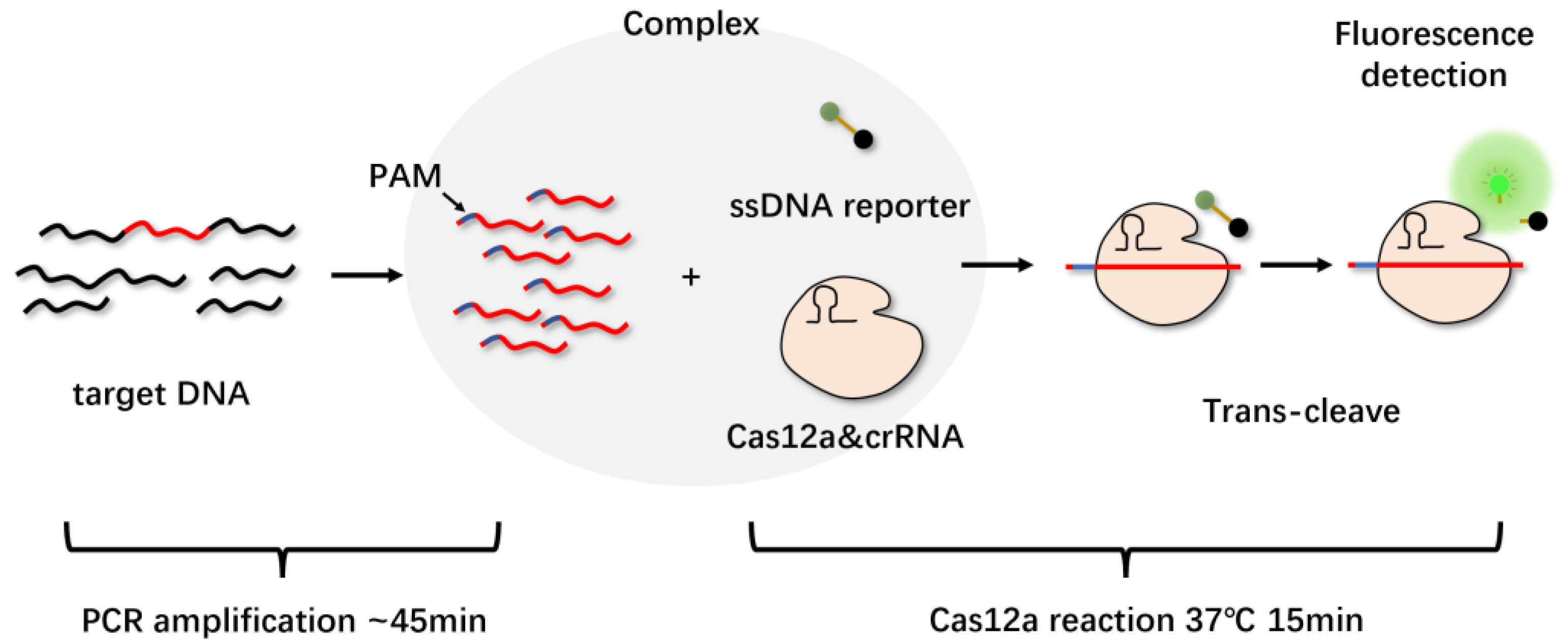 Molecules 27 06999 g005 Molecules 27 06999 g005