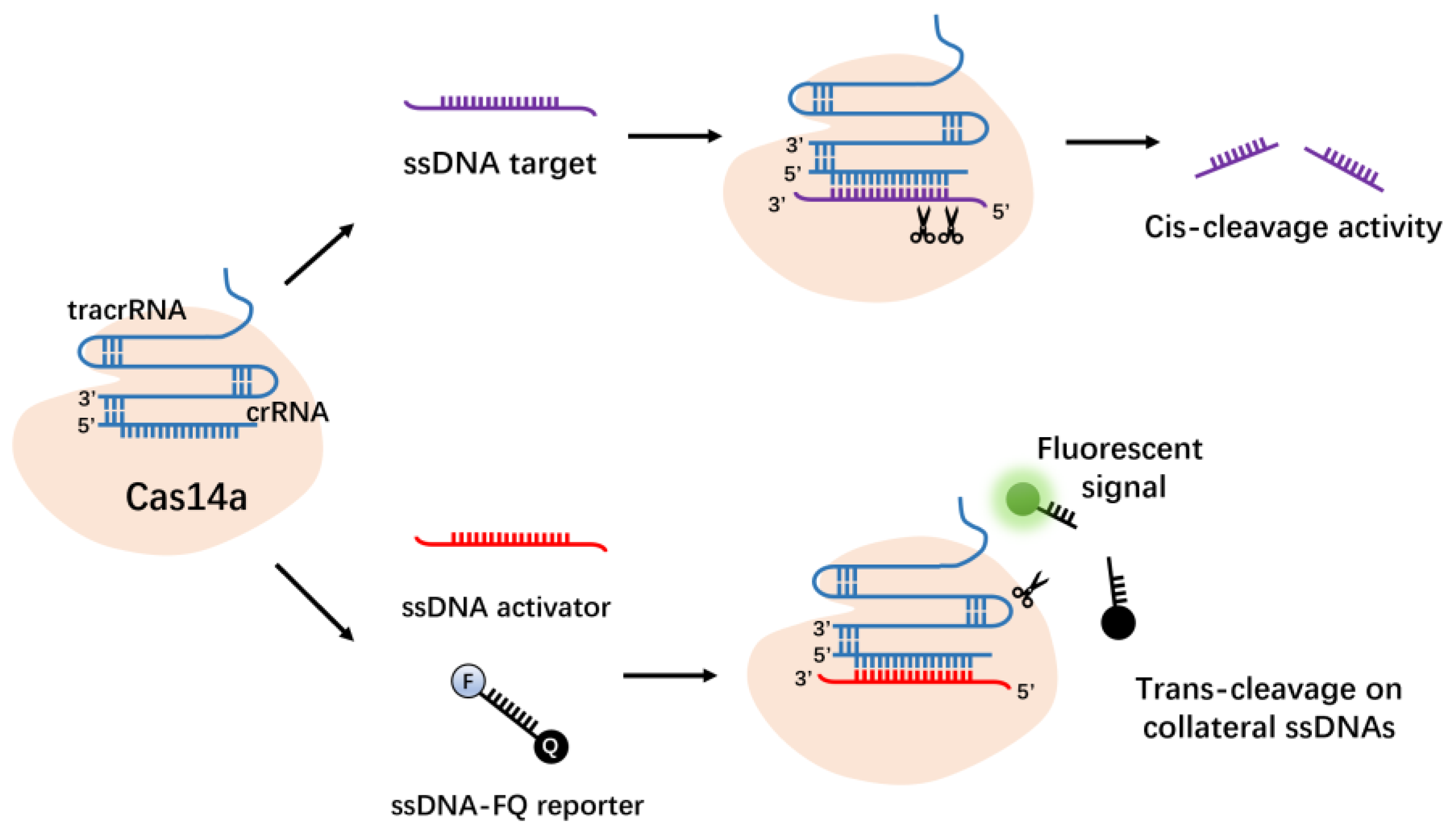 Molecules 27 06999 g007 Molecules 27 06999 g007