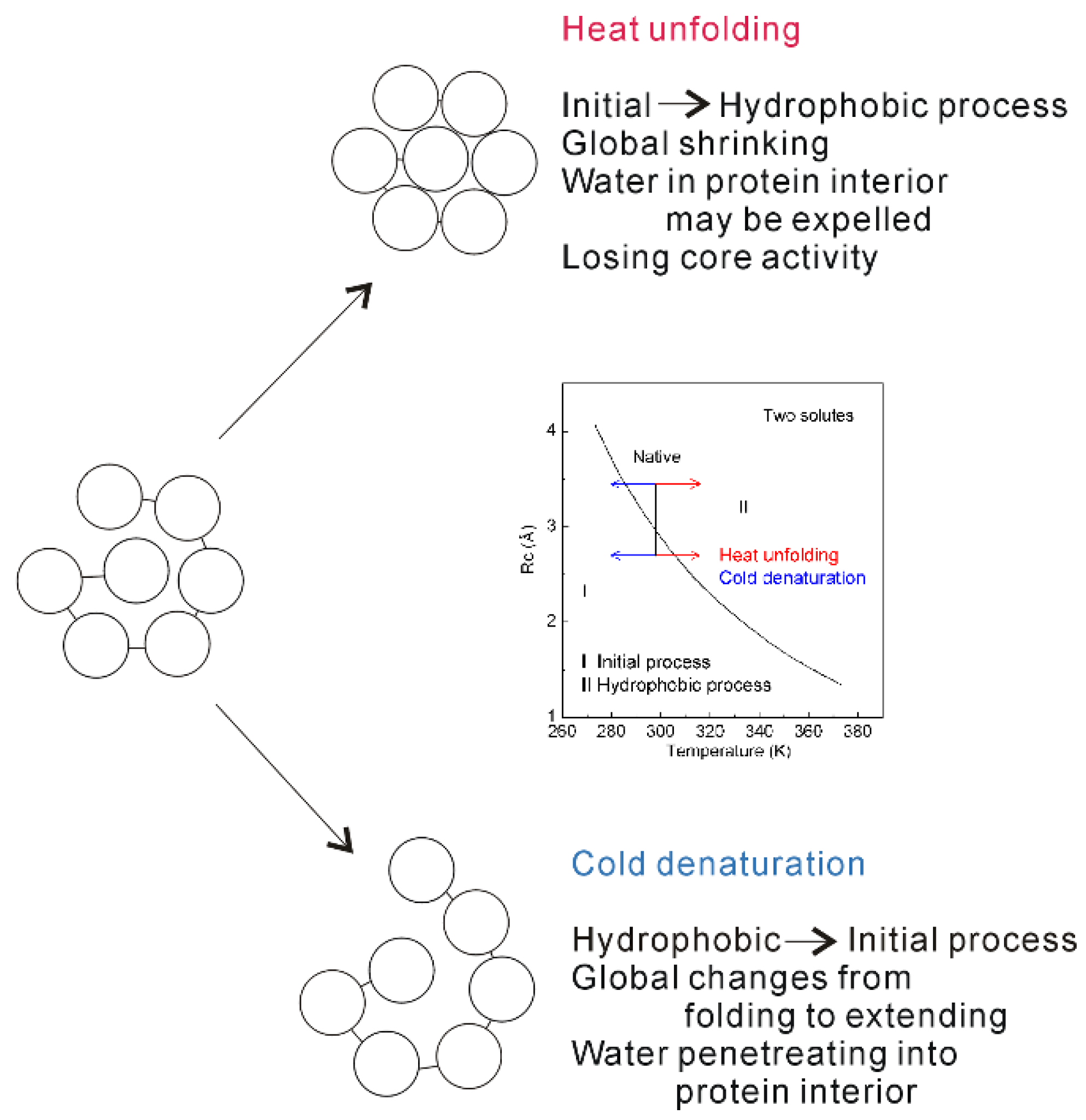 Molecules 27 07009 g015