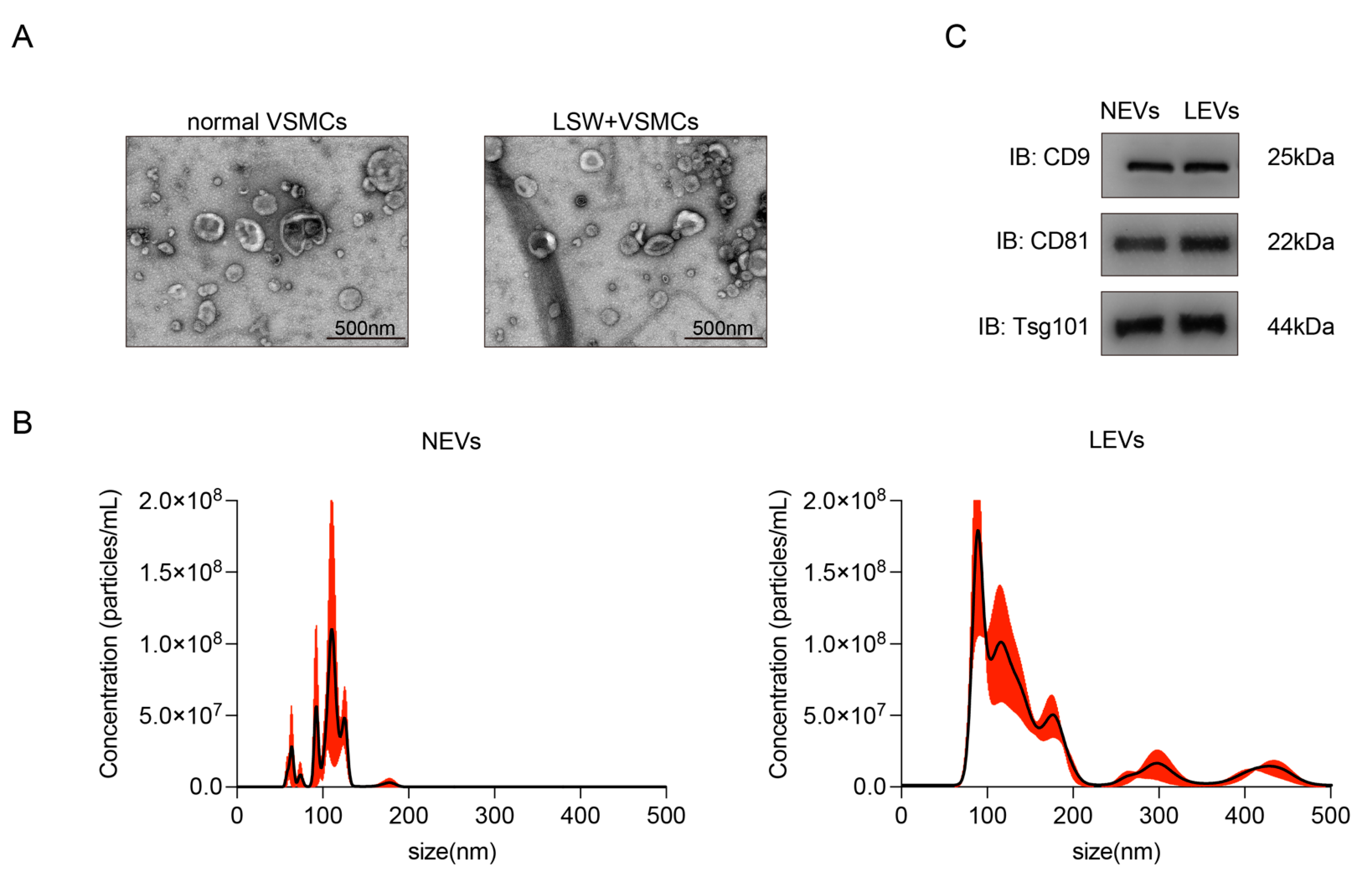 Molecules 27 07025 g002