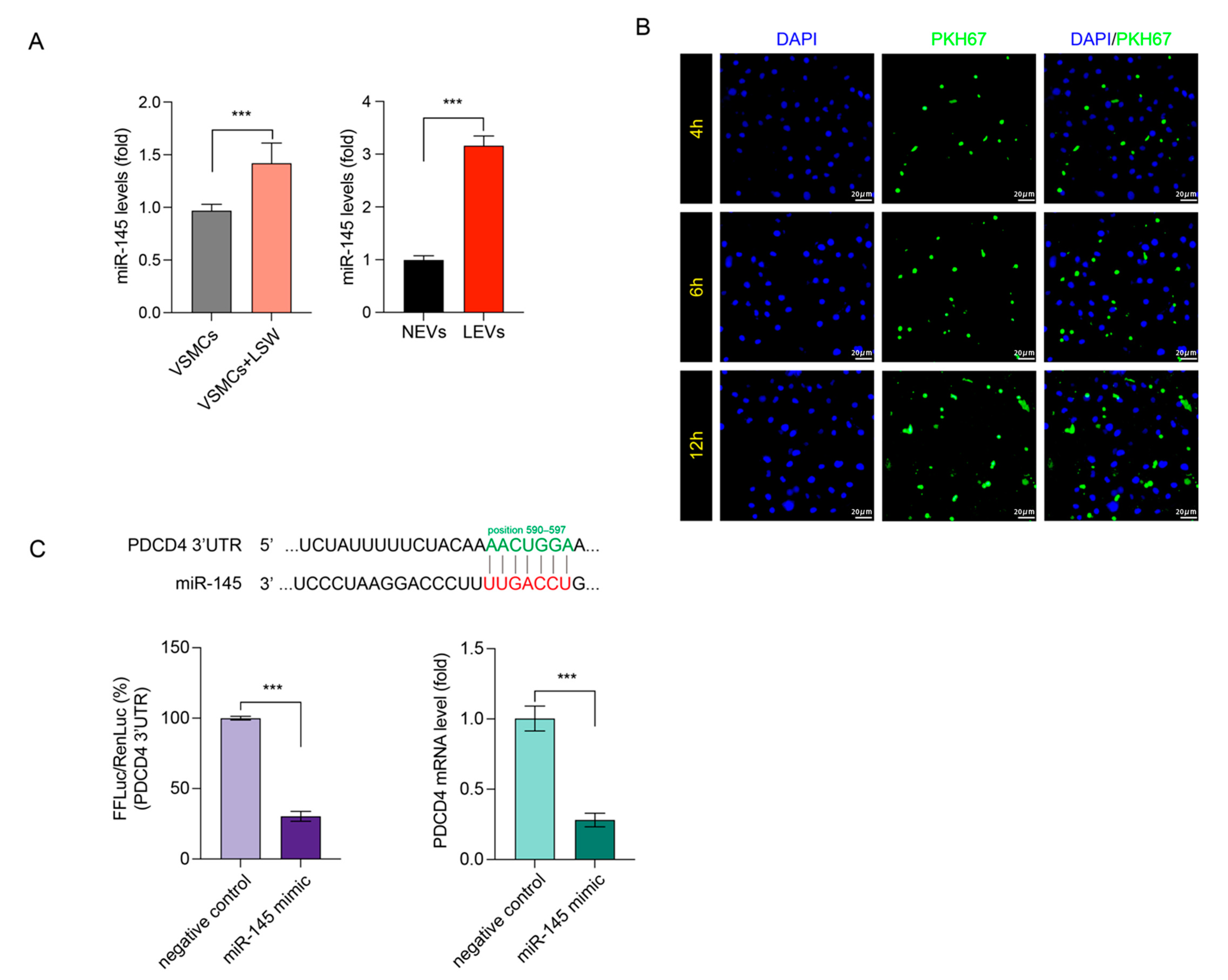 Molecules 27 07025 g004