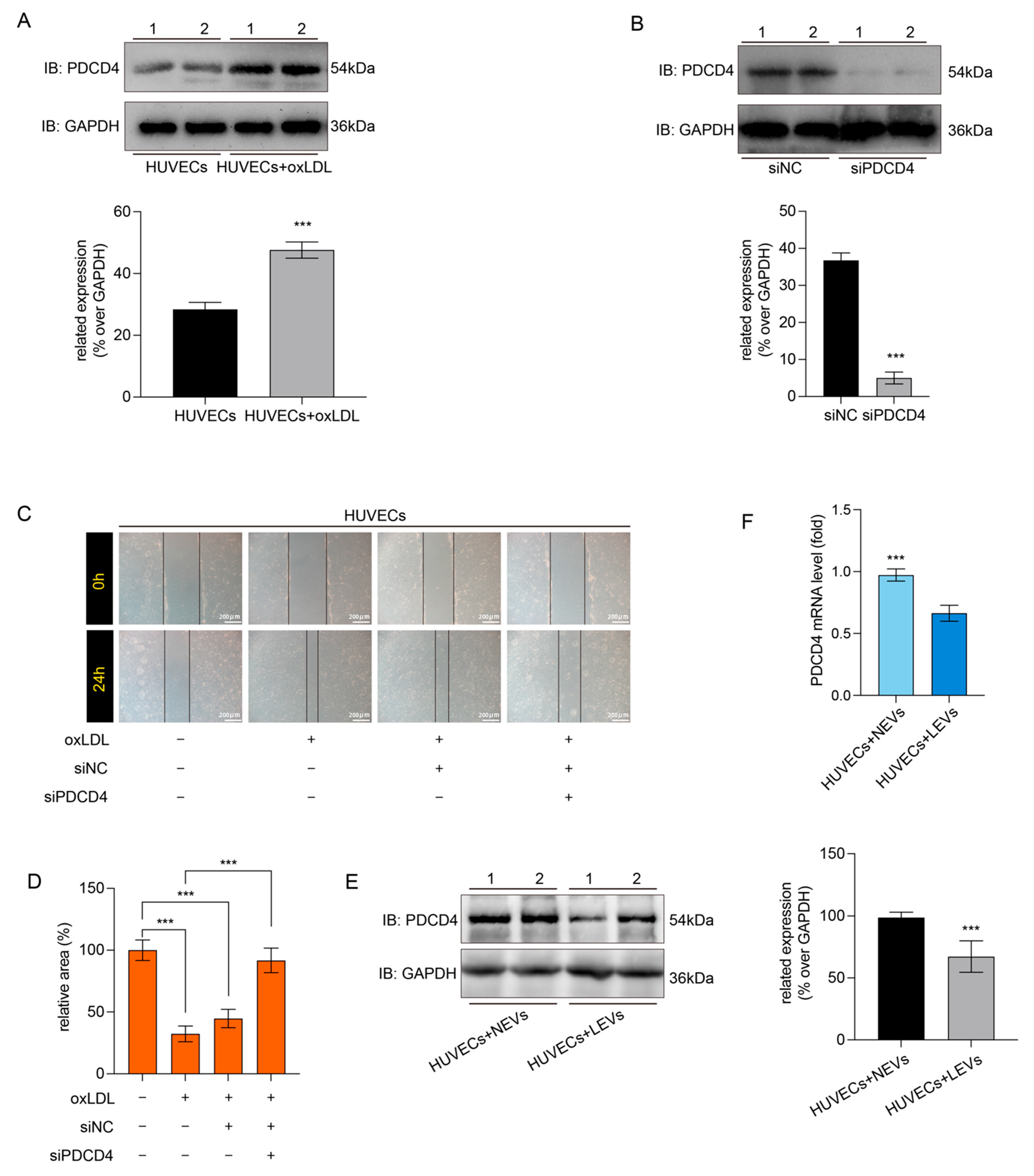 Molecules 27 07025 g005