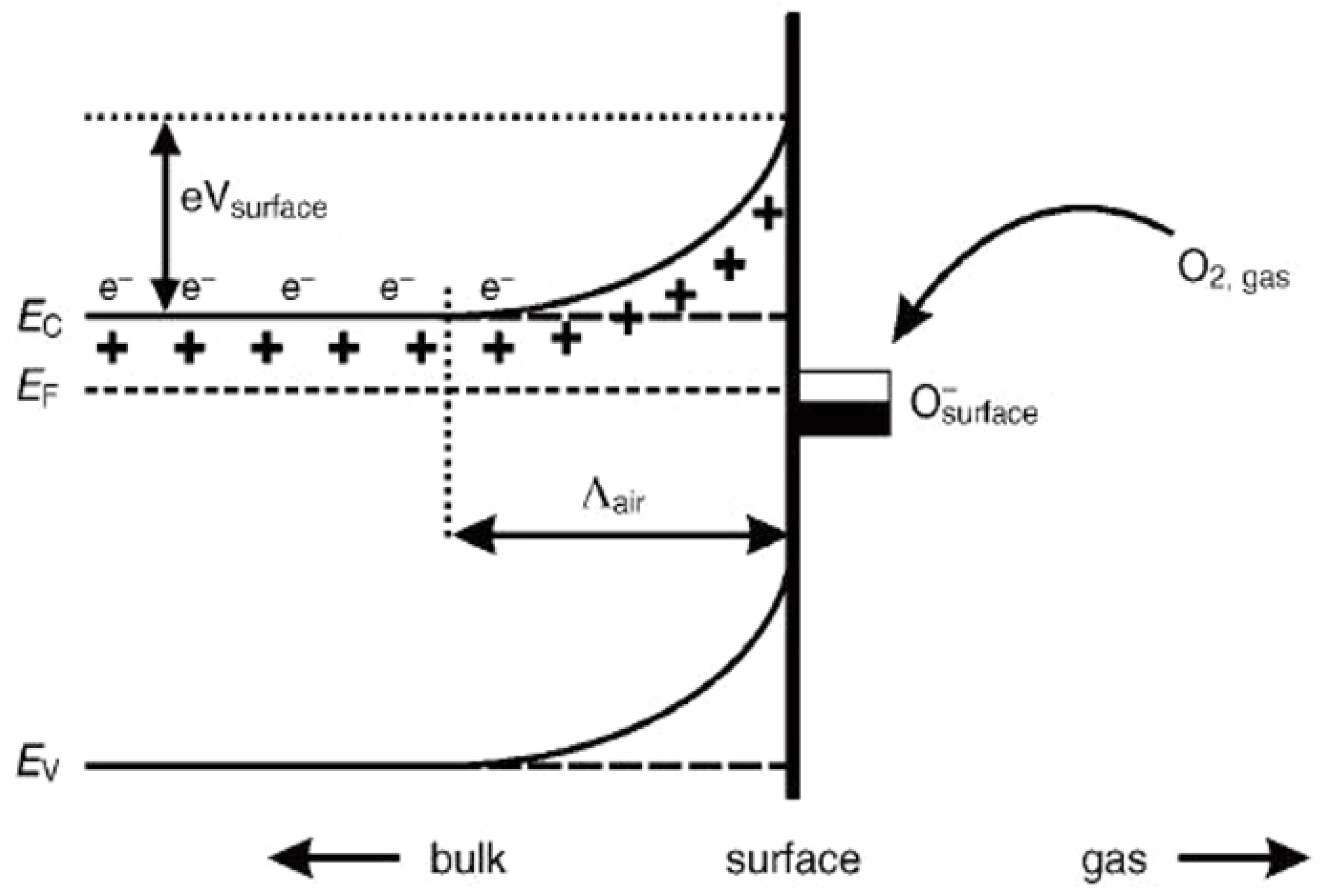 Molecules 27 07038 g001