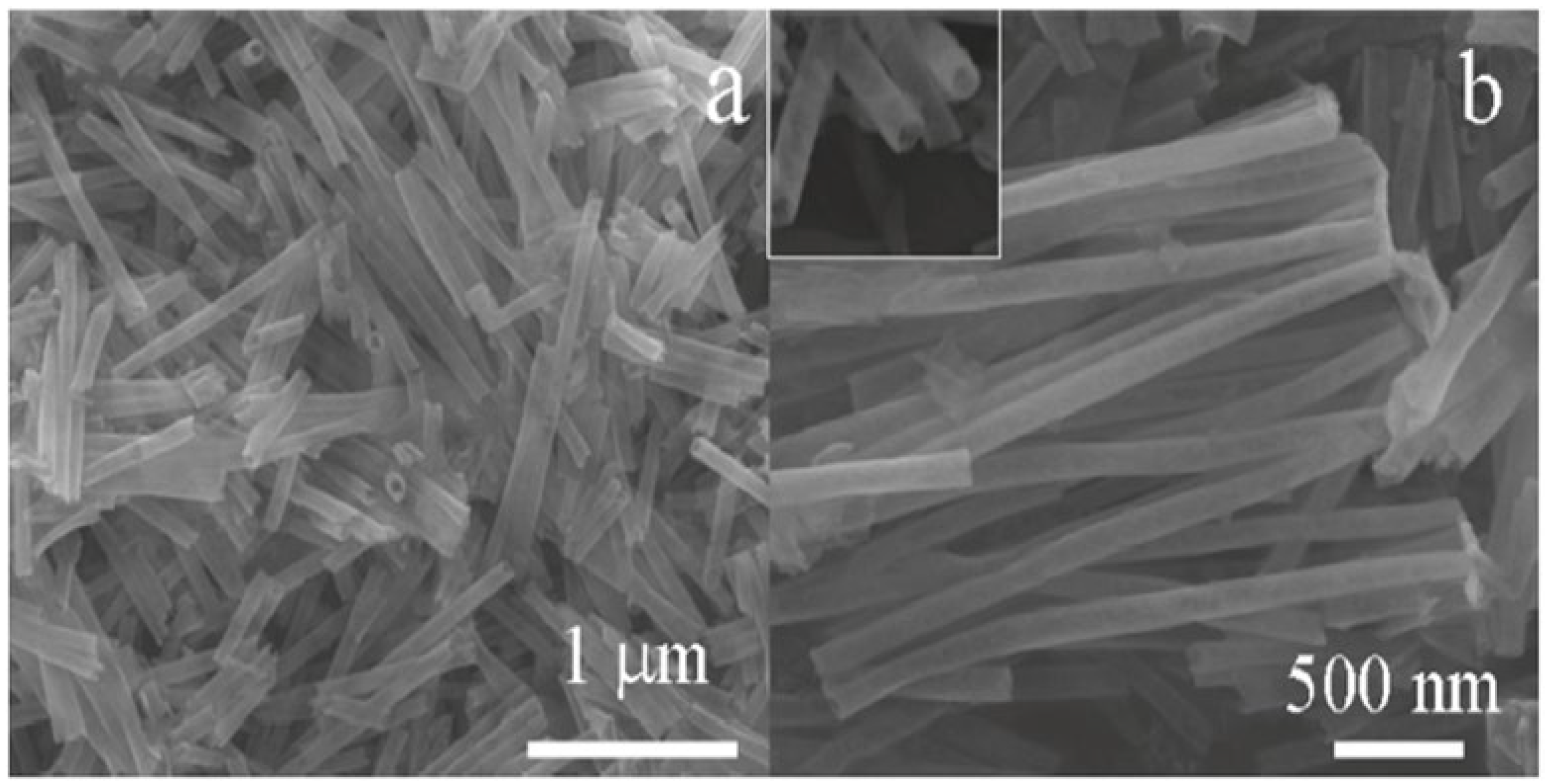 Molecules 27 07038 g007