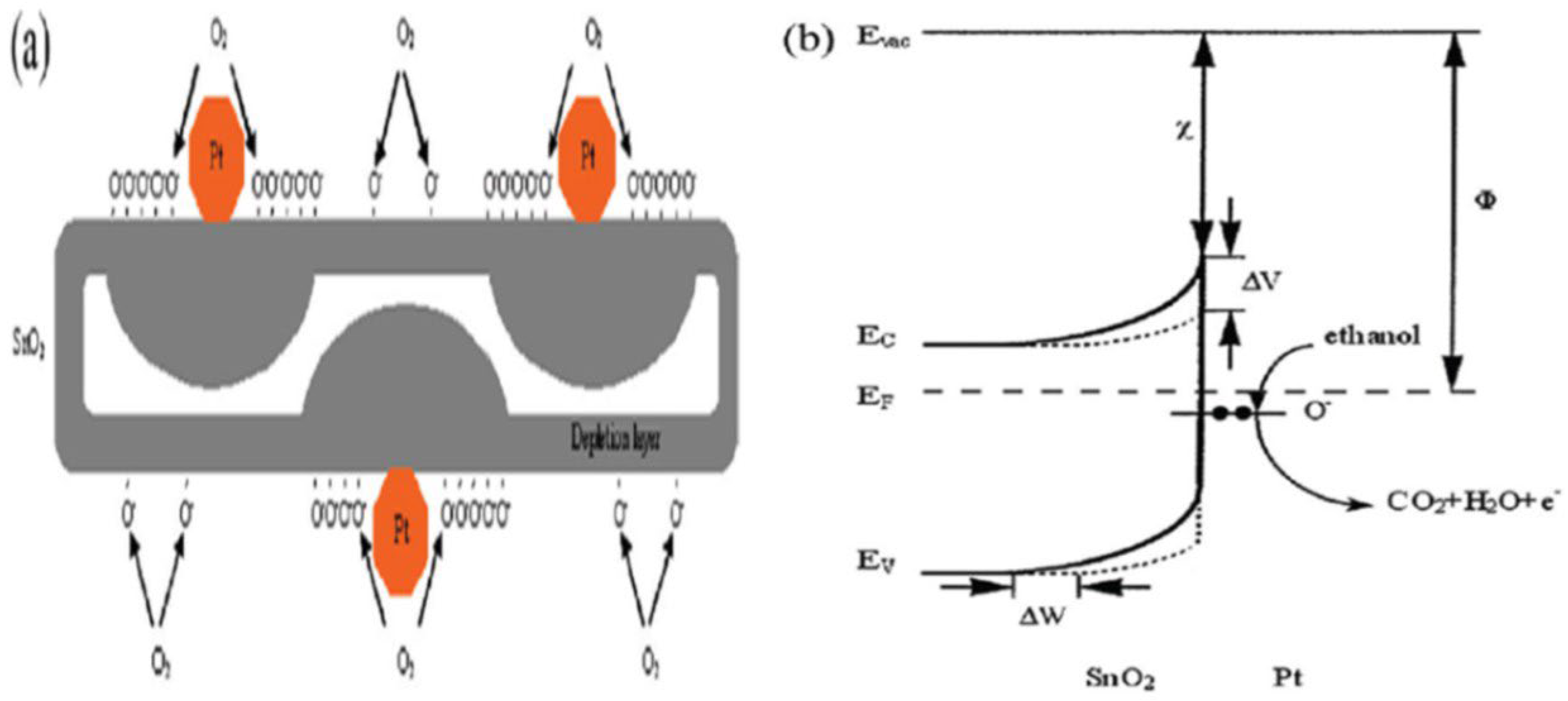 Molecules 27 07038 g025
