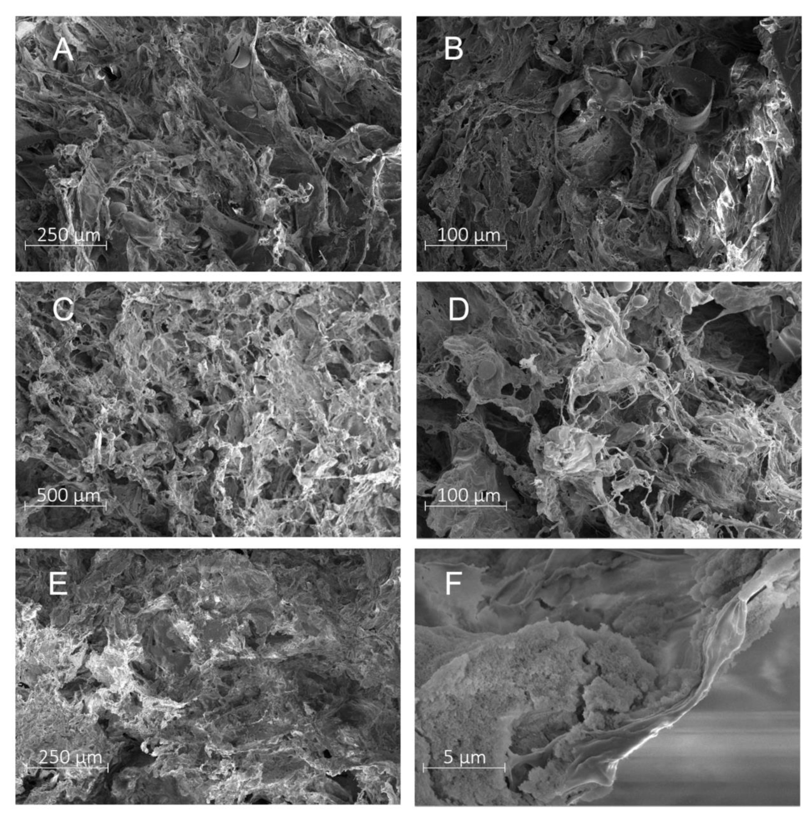 Molecules 27 07045 g001 Molecules 27 07045 g001