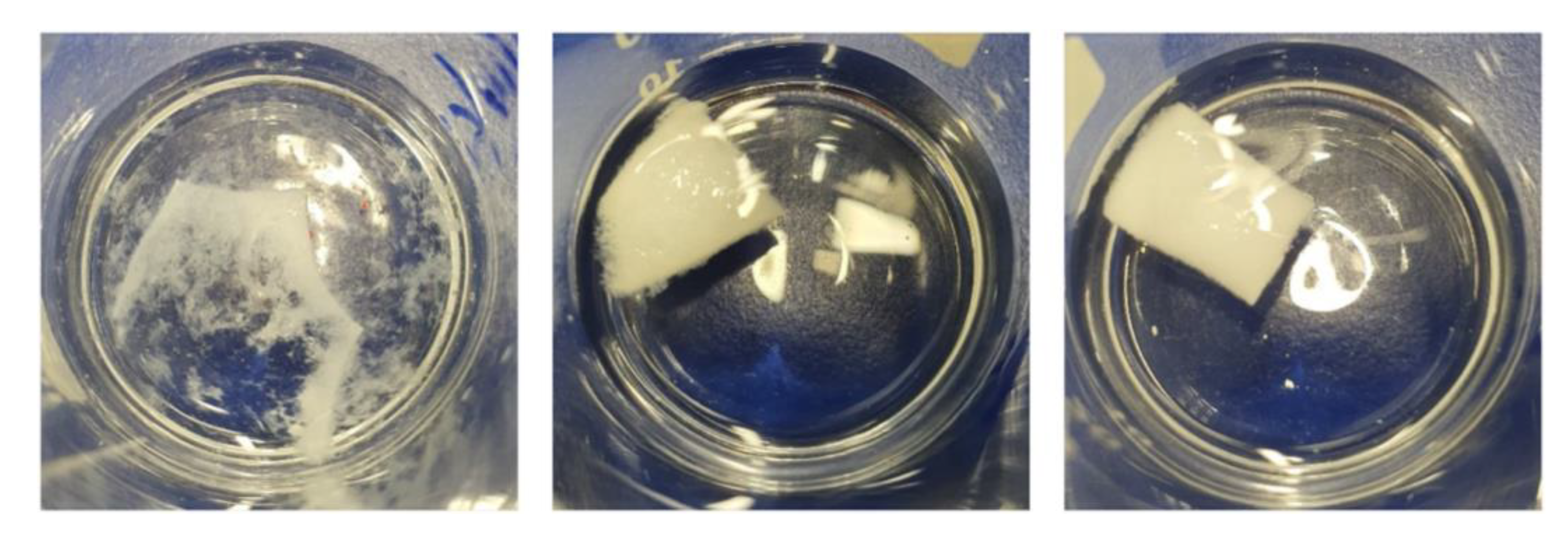 Molecules 27 07045 g005 Molecules 27 07045 g005