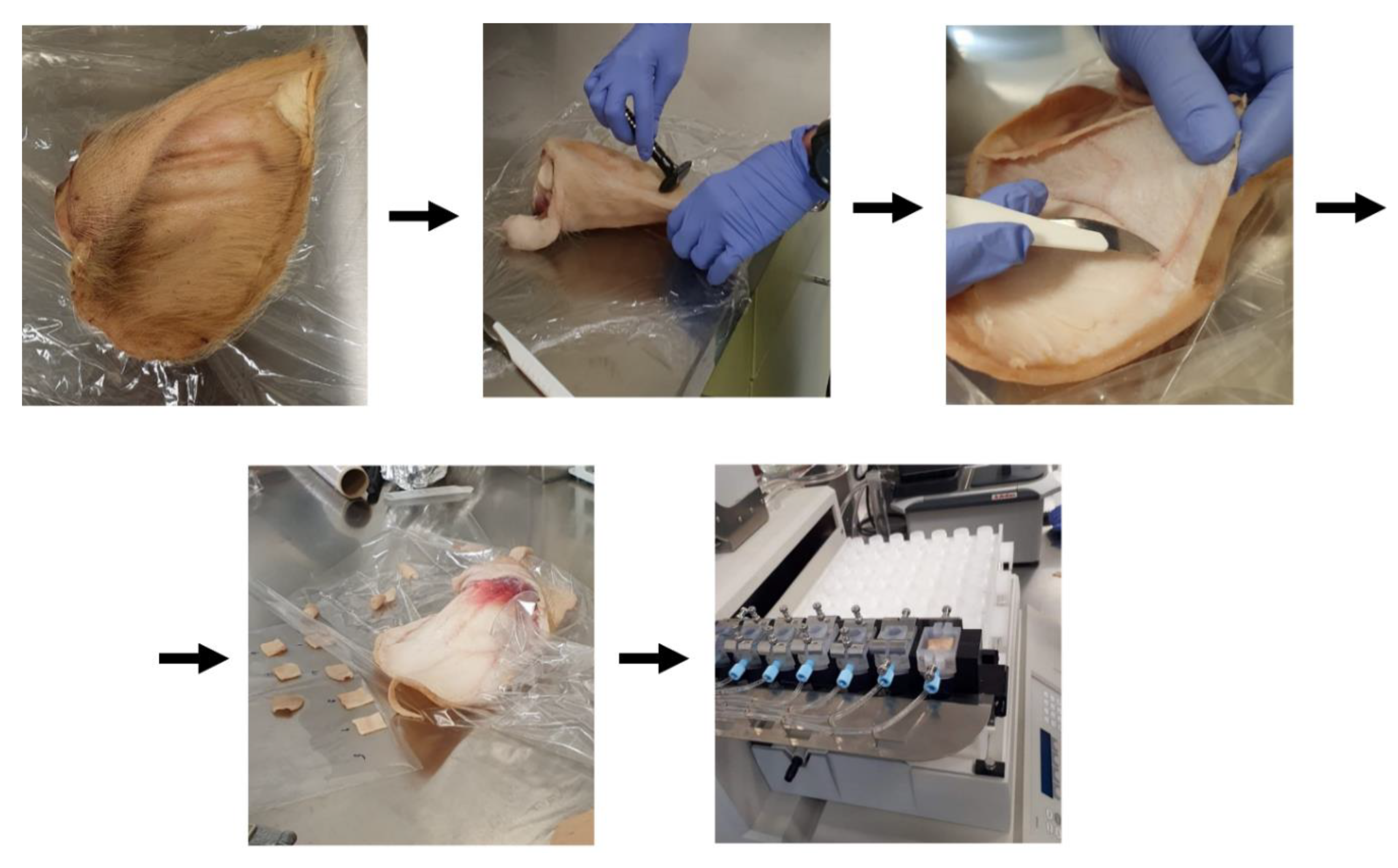Molecules 27 07045 g006 Molecules 27 07045 g006