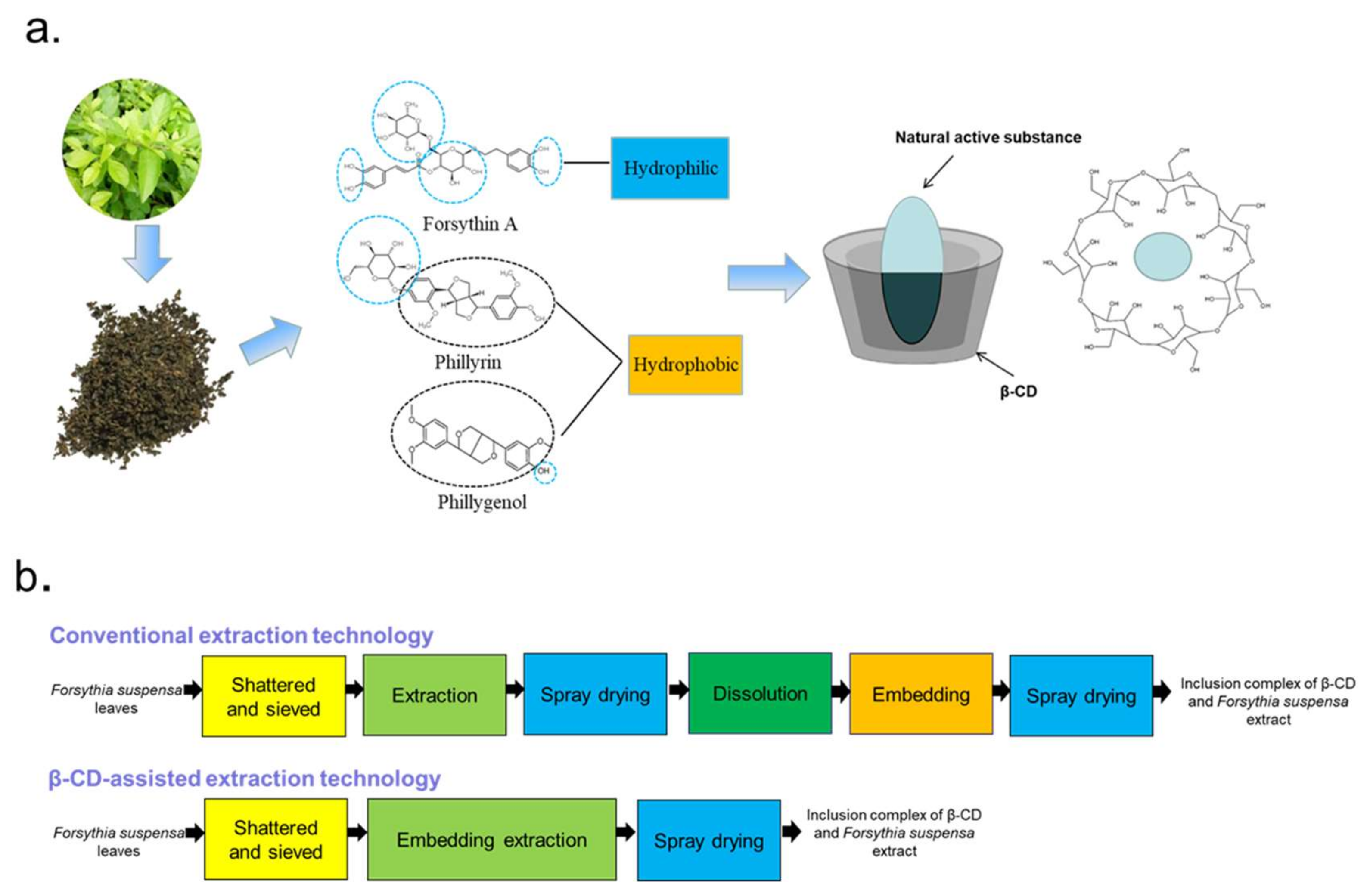 Molecules 27 07055 g001