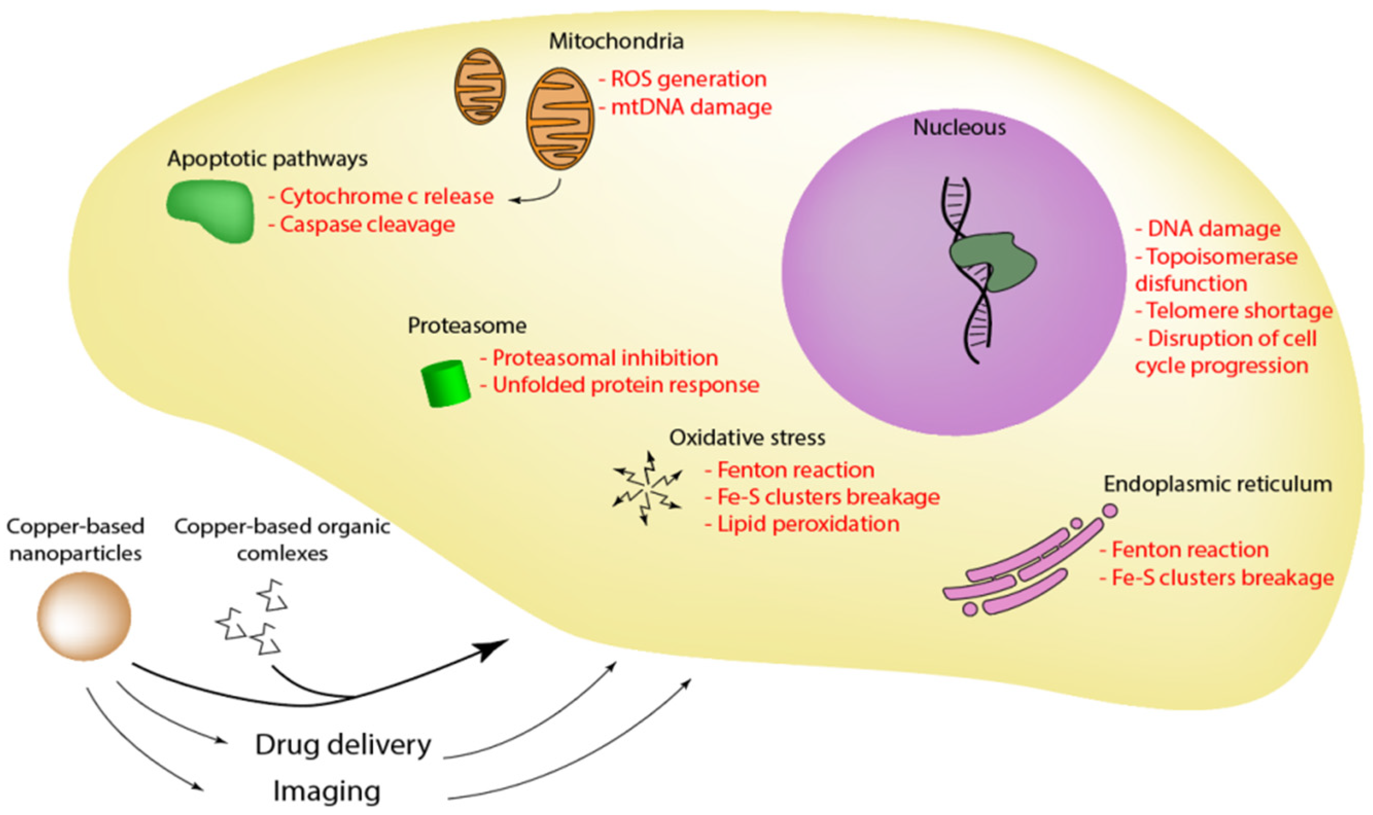Molecules 27 07066 g002
