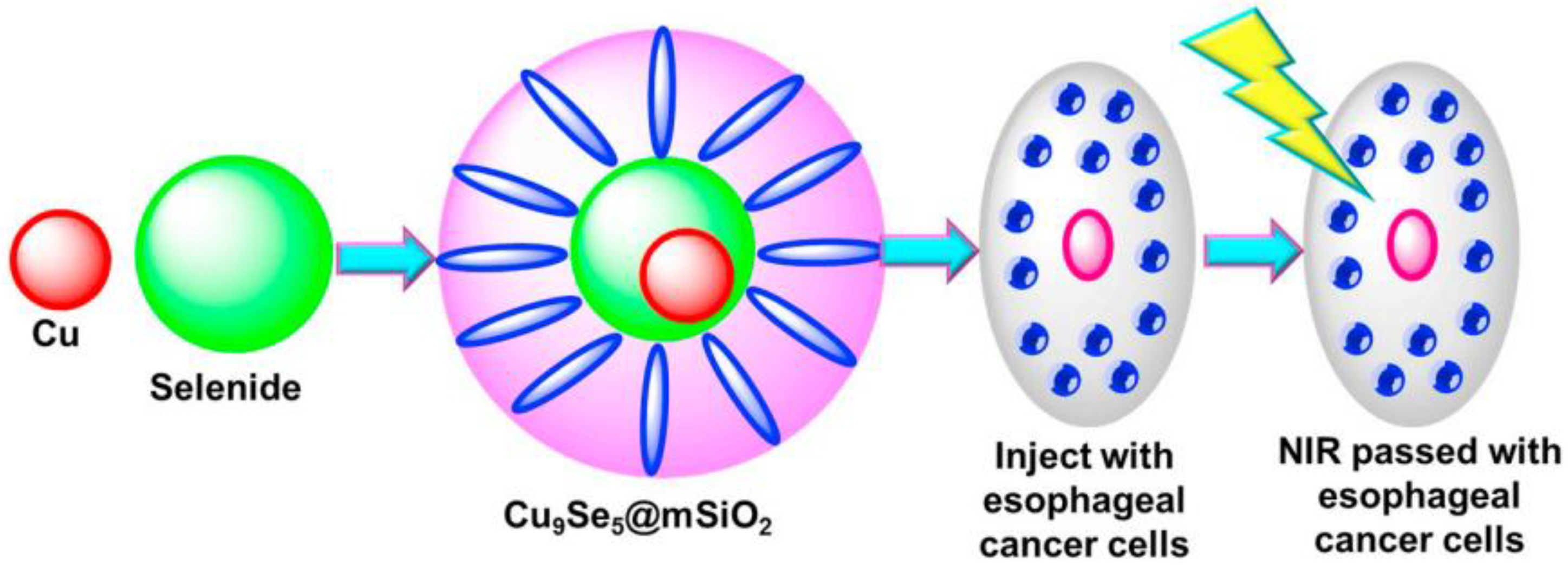 Molecules 27 07066 g004