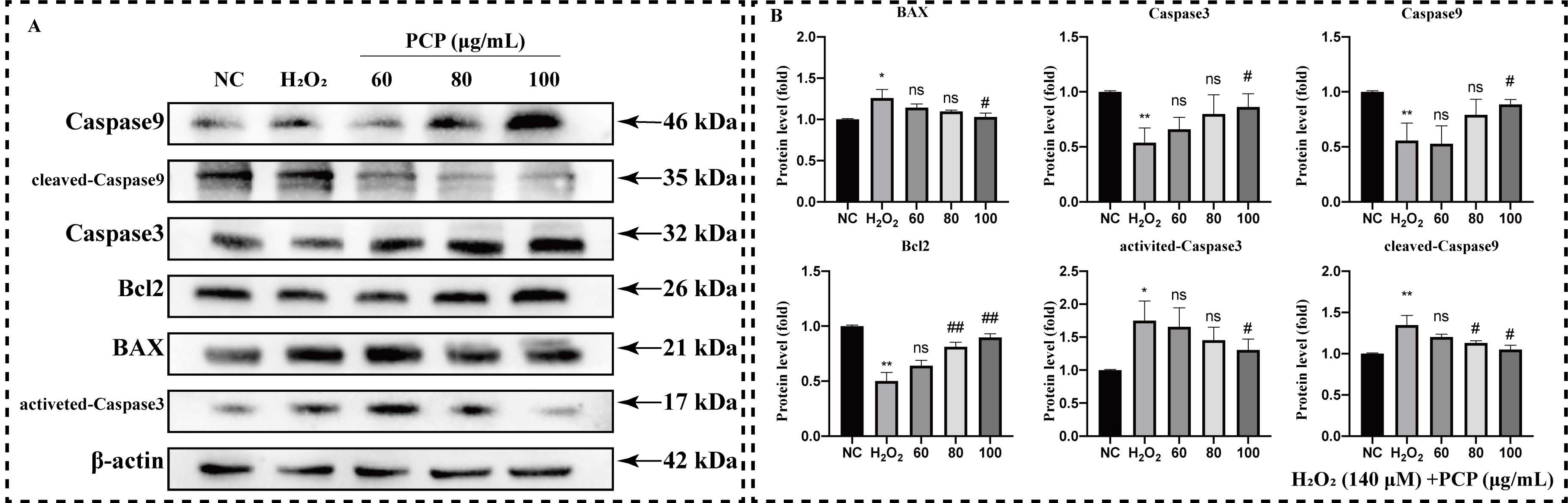 Molecules 27 07088 g004 Molecules 27 07088 g004