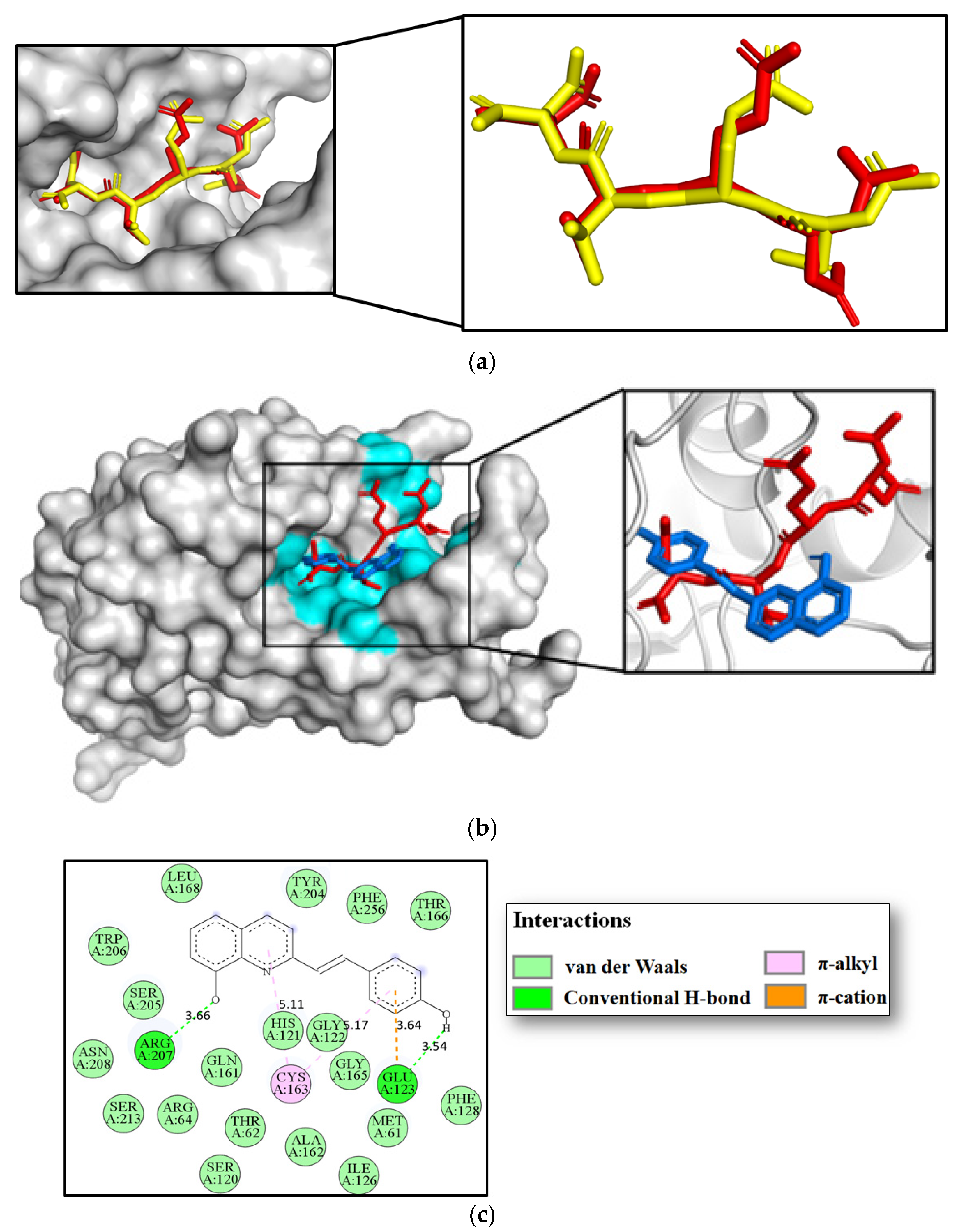Molecules 27 07108 g006