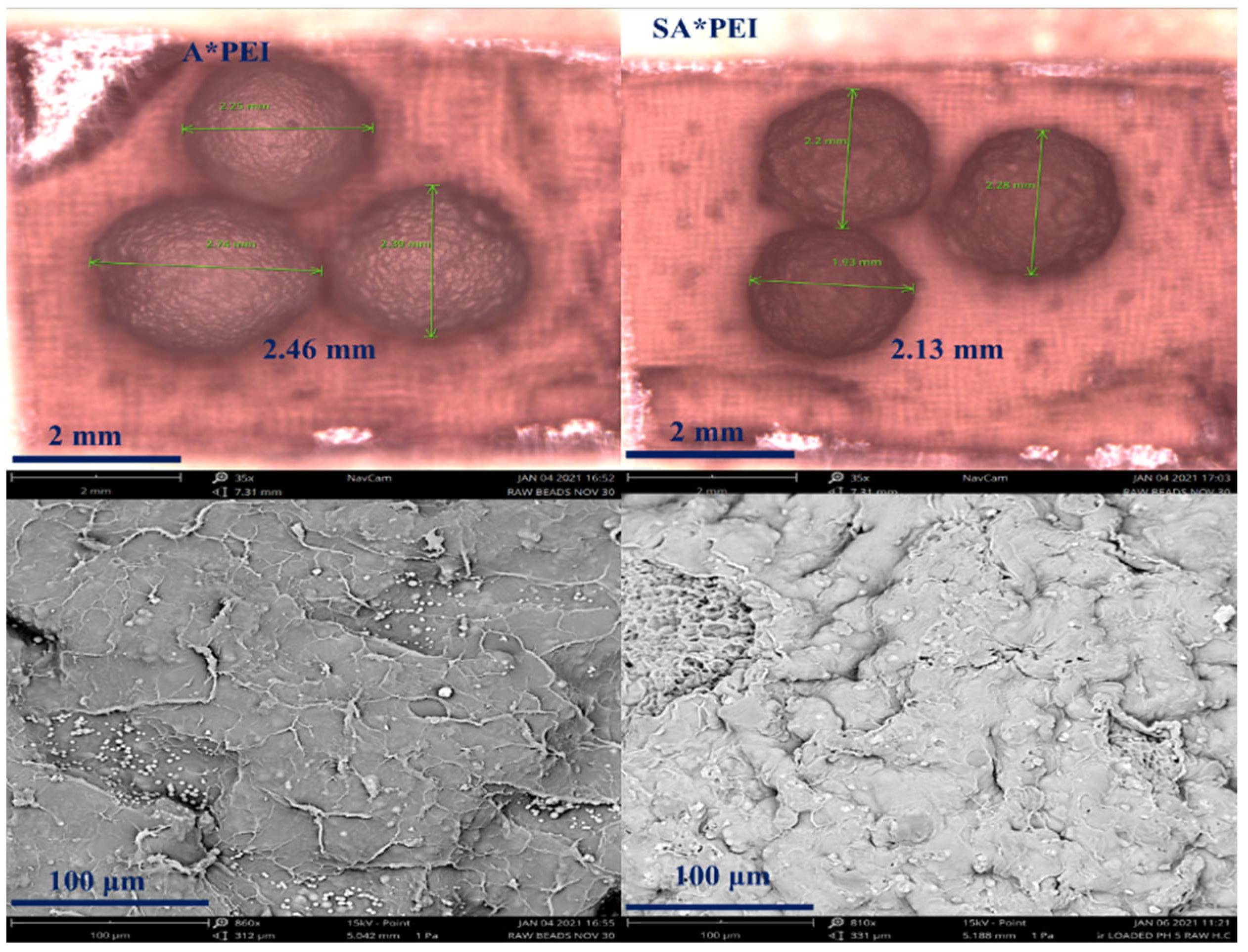 Molecules 27 07128 g0a1 Molecules 27 07128 g0a1