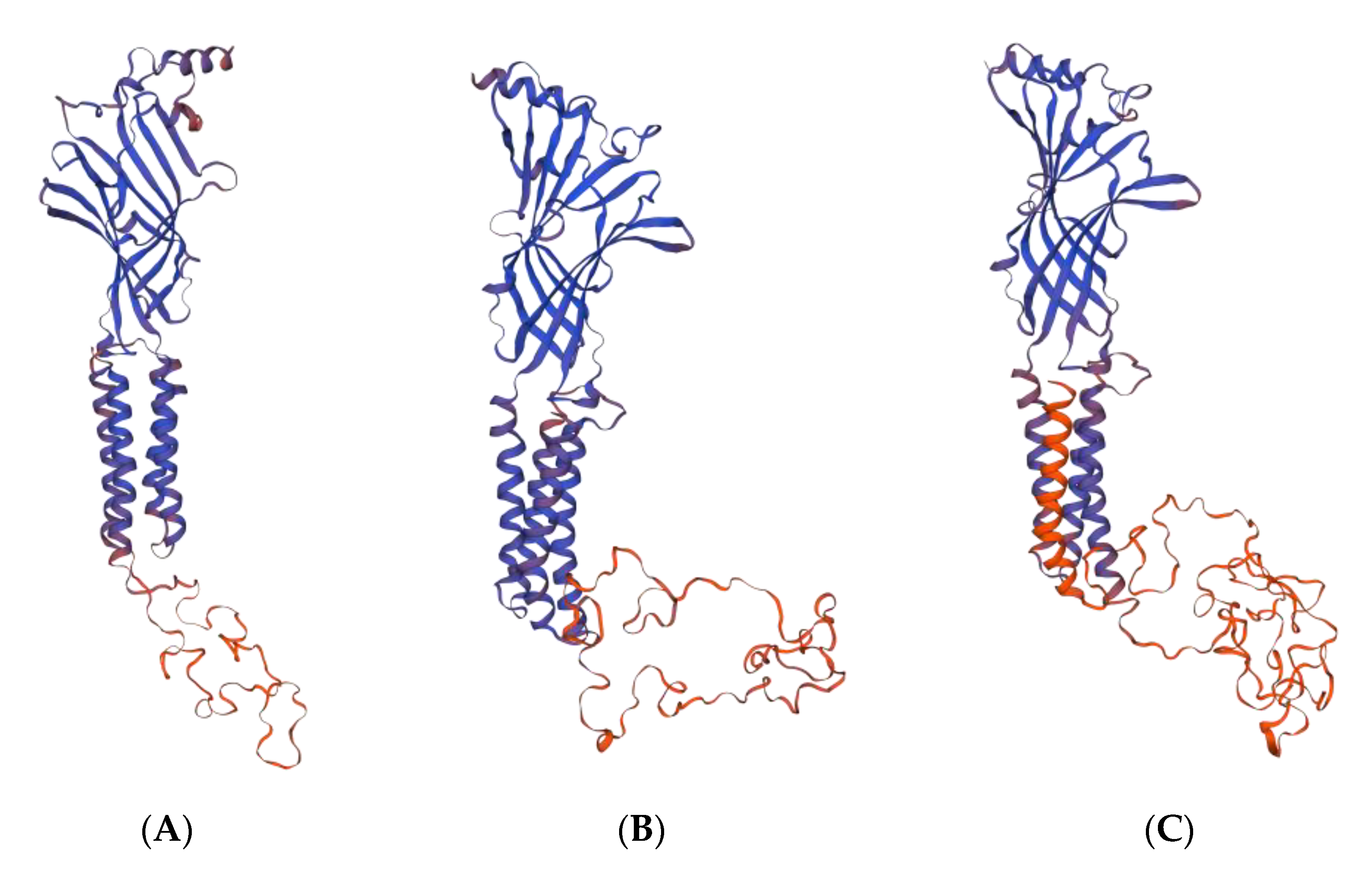 Molecules | Free Full-Text | Anxiolytic-like Effect of Quercetin