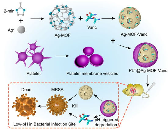 Molecules Free Full Text Recent Advances of Silver Based