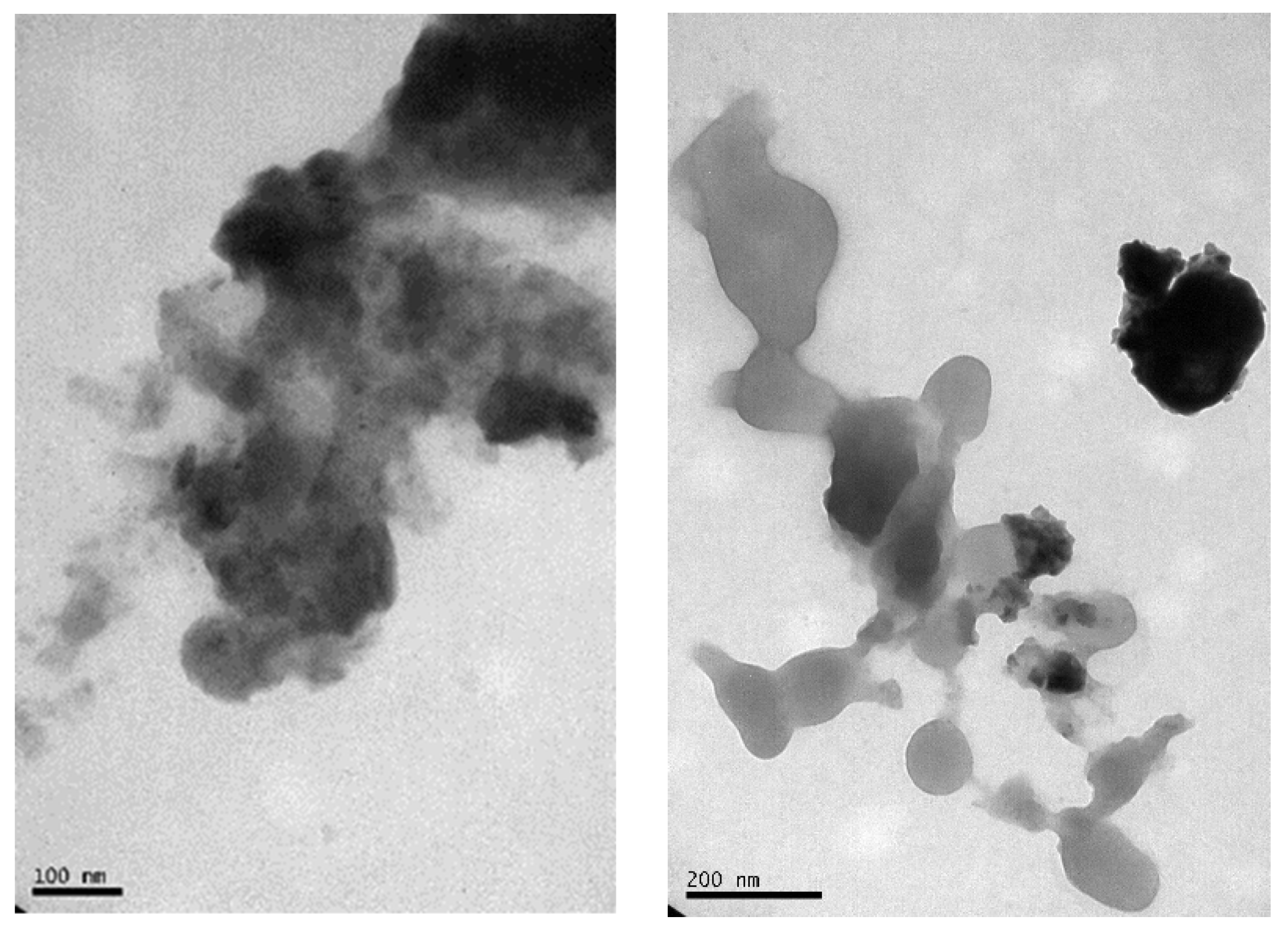 Molecules 27 07190 g002