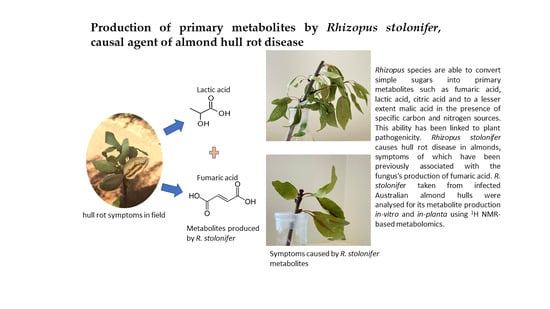 Molecules | Free Full-Text | Production of Primary Metabolites by ...