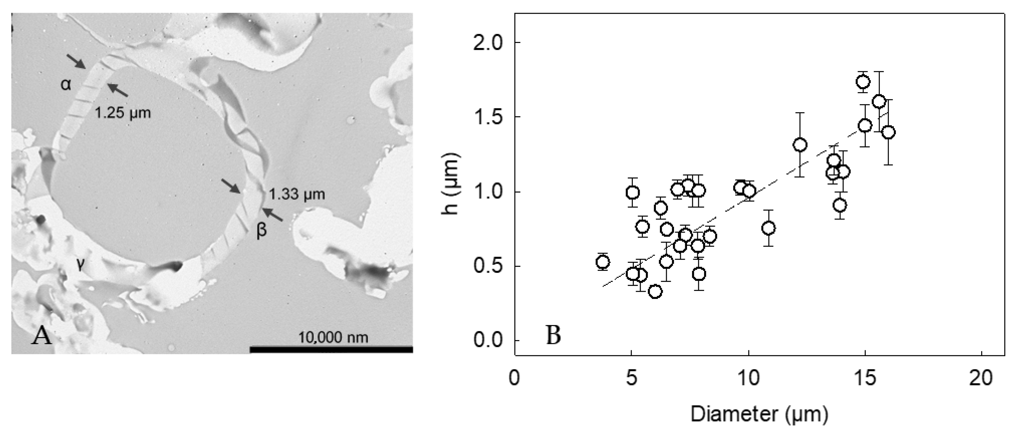 Molecules 27 07215 g005