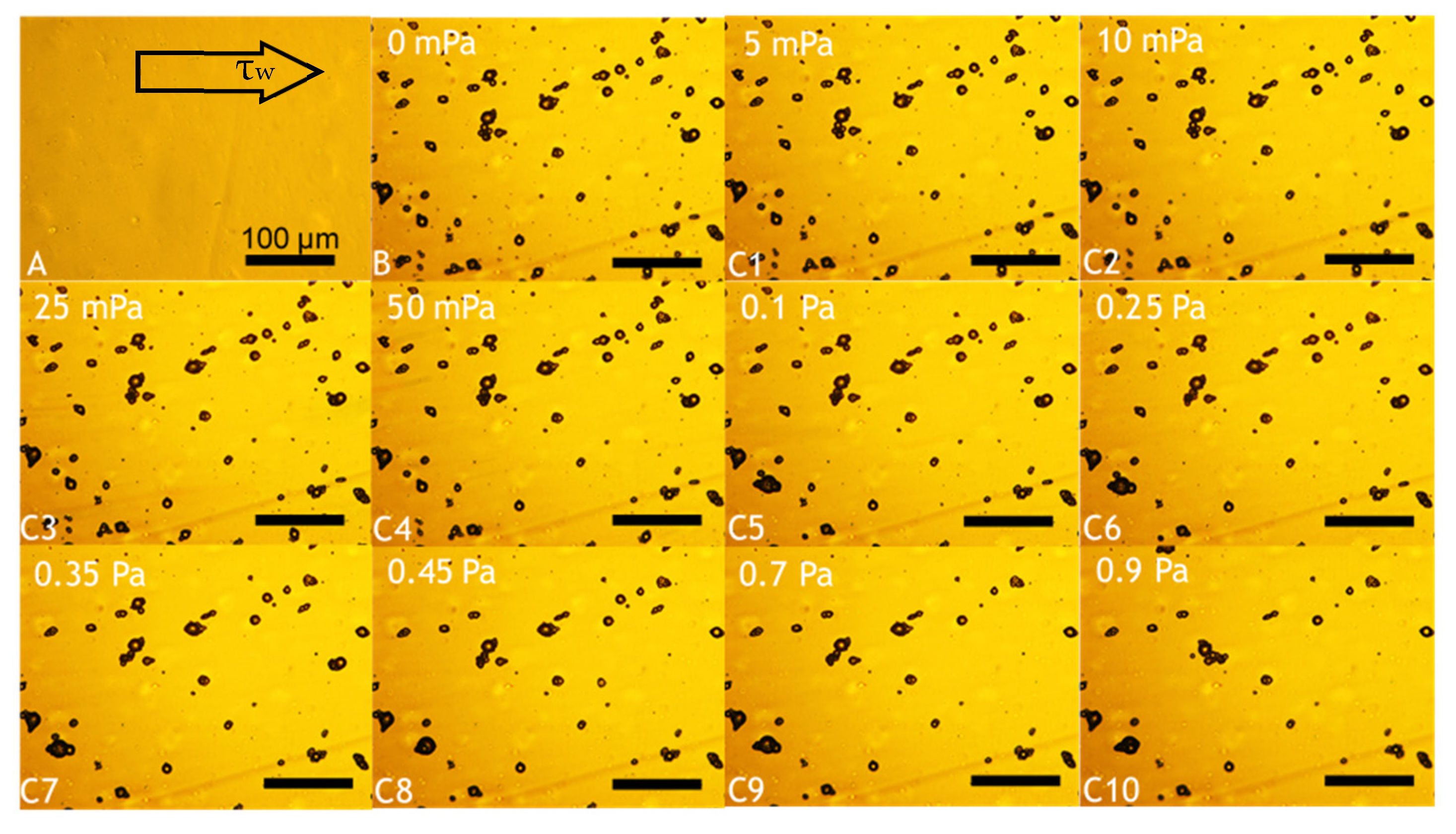 Molecules 27 07215 g007