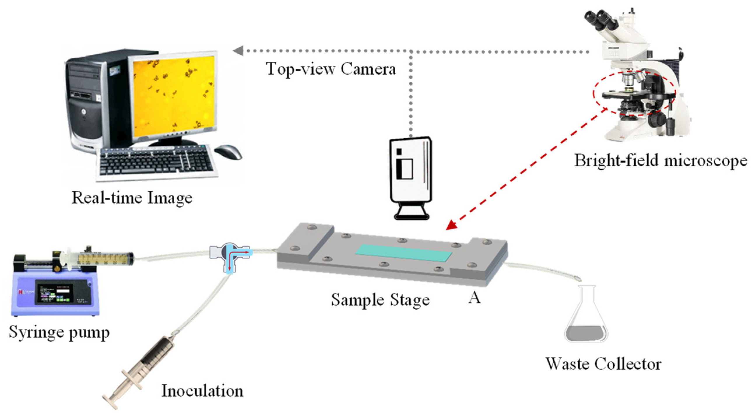 Molecules 27 07215 g009