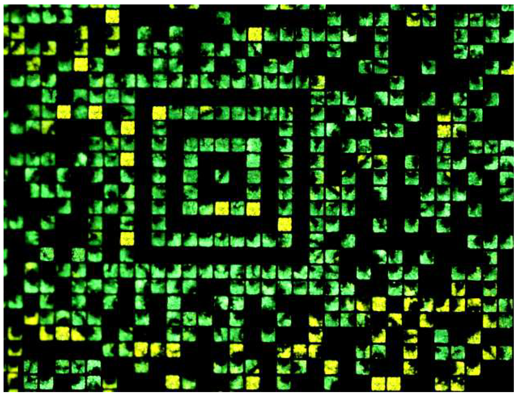 Molecules 27 07235 g007 Molecules 27 07235 g007