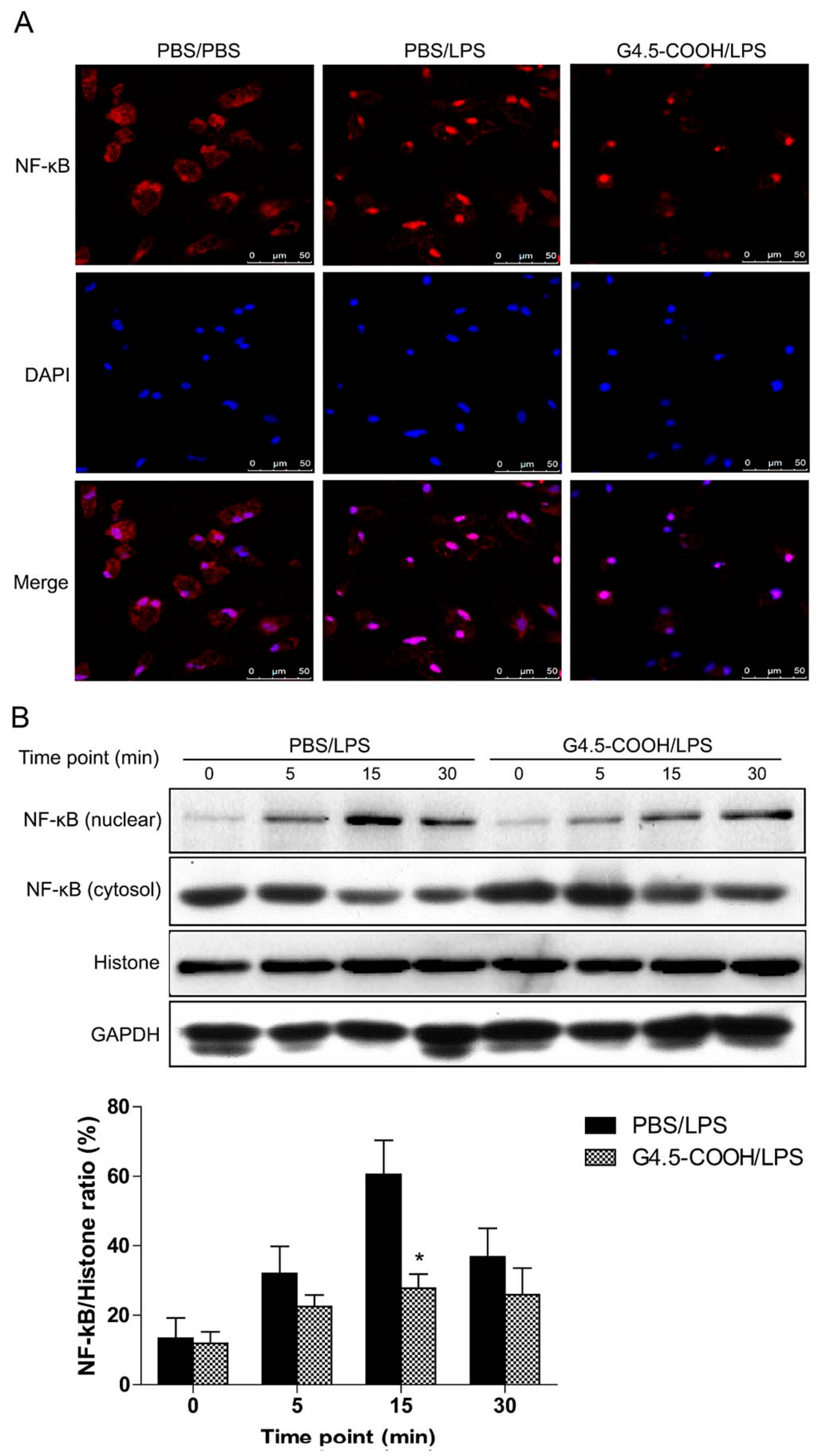 Molecules 27 07238 g002