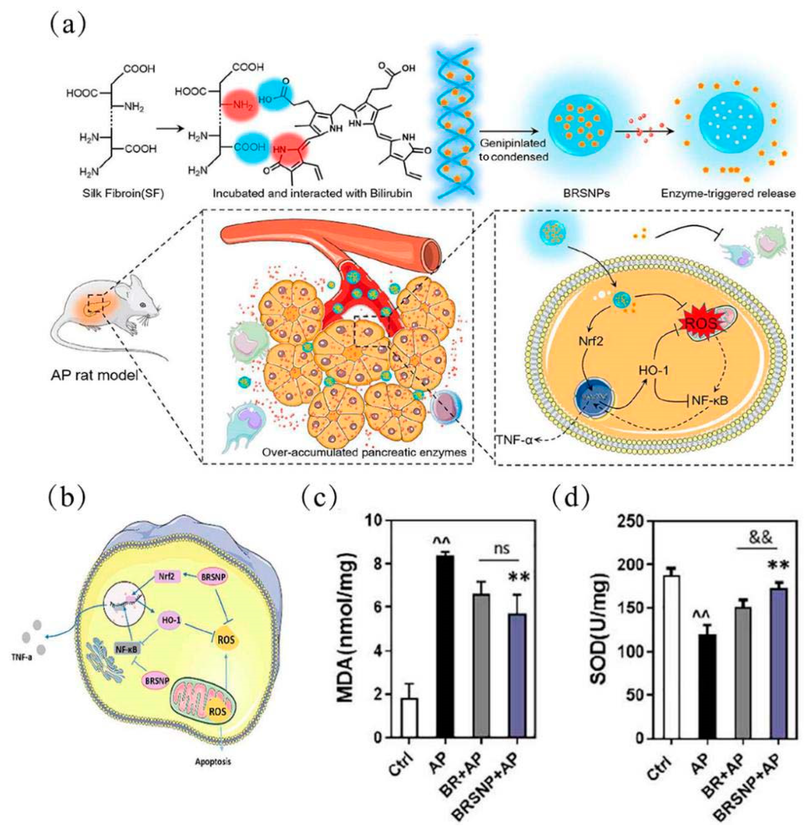 Molecules 27 07238 g004