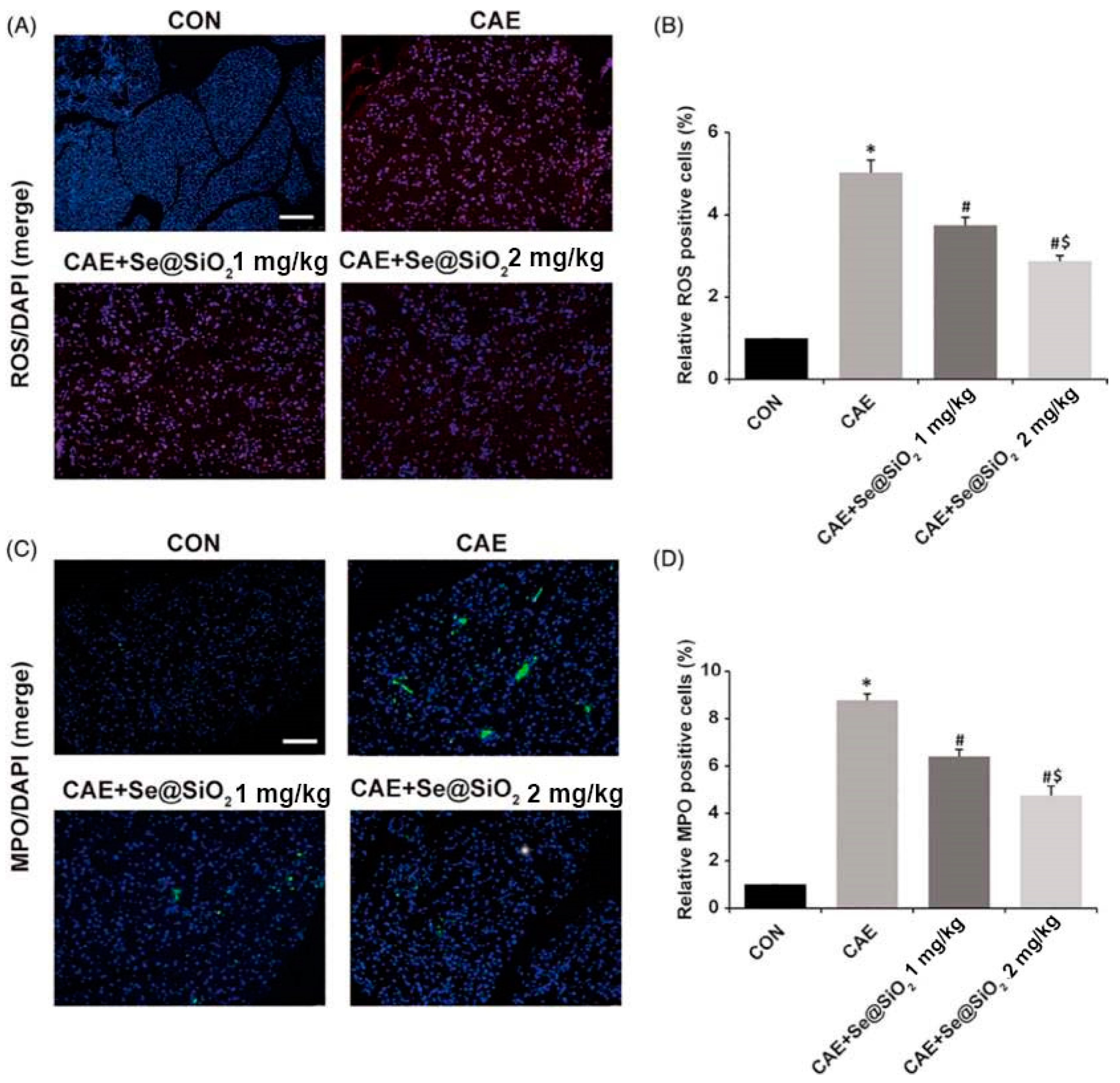 Molecules 27 07238 g006