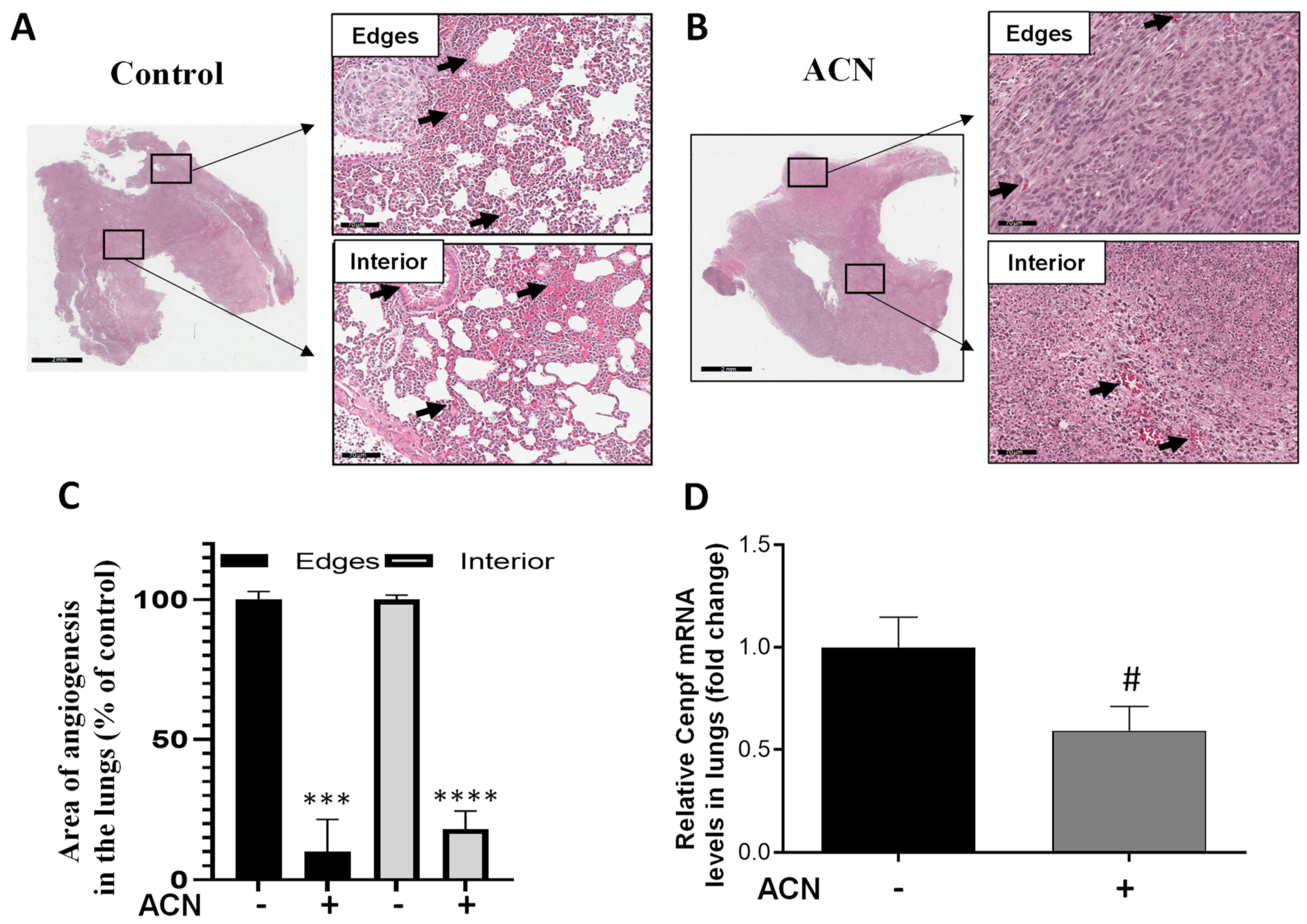 Molecules 27 07245 g007