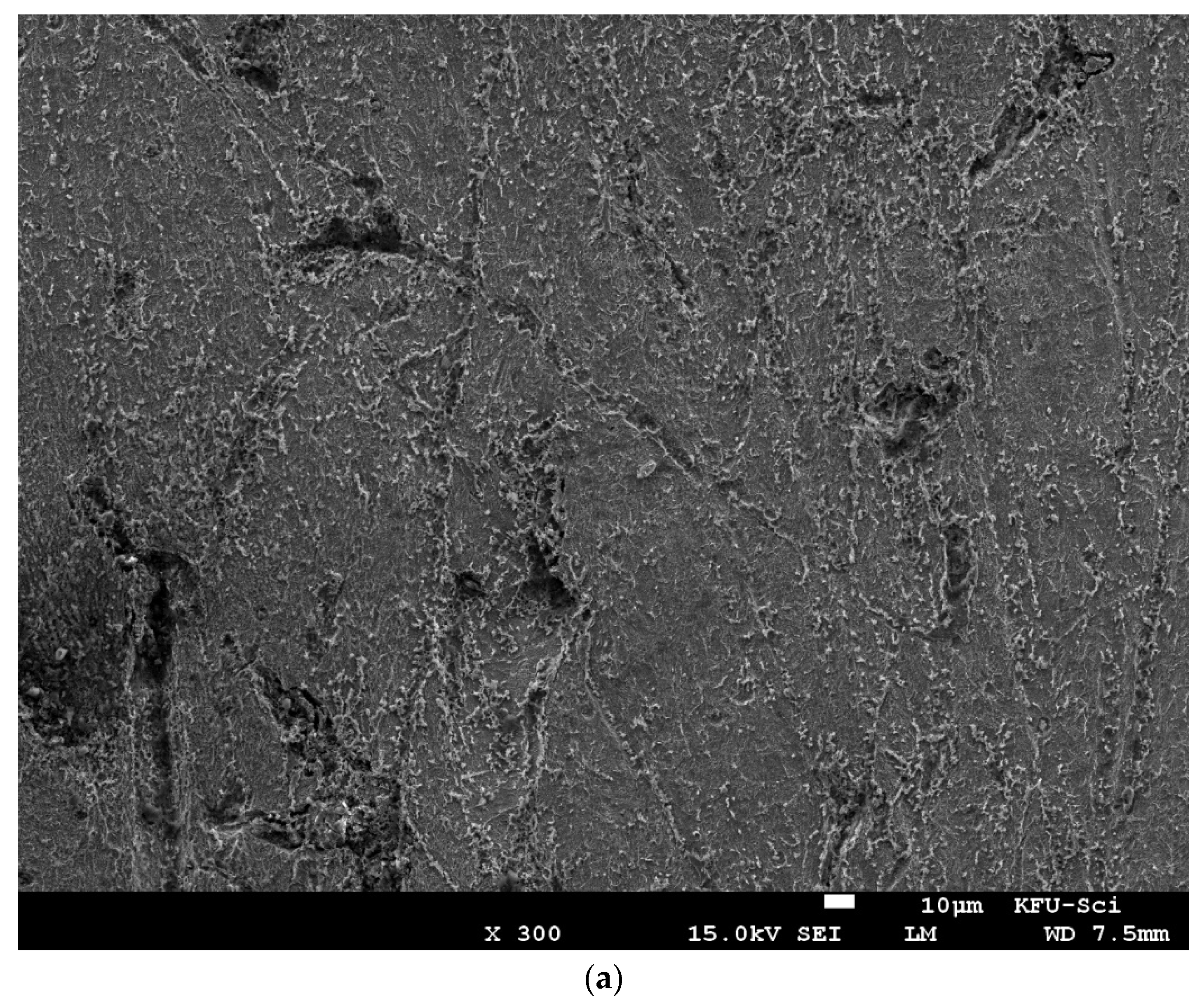 Molecules 27 07250 g013a Molecules 27 07250 g013a
