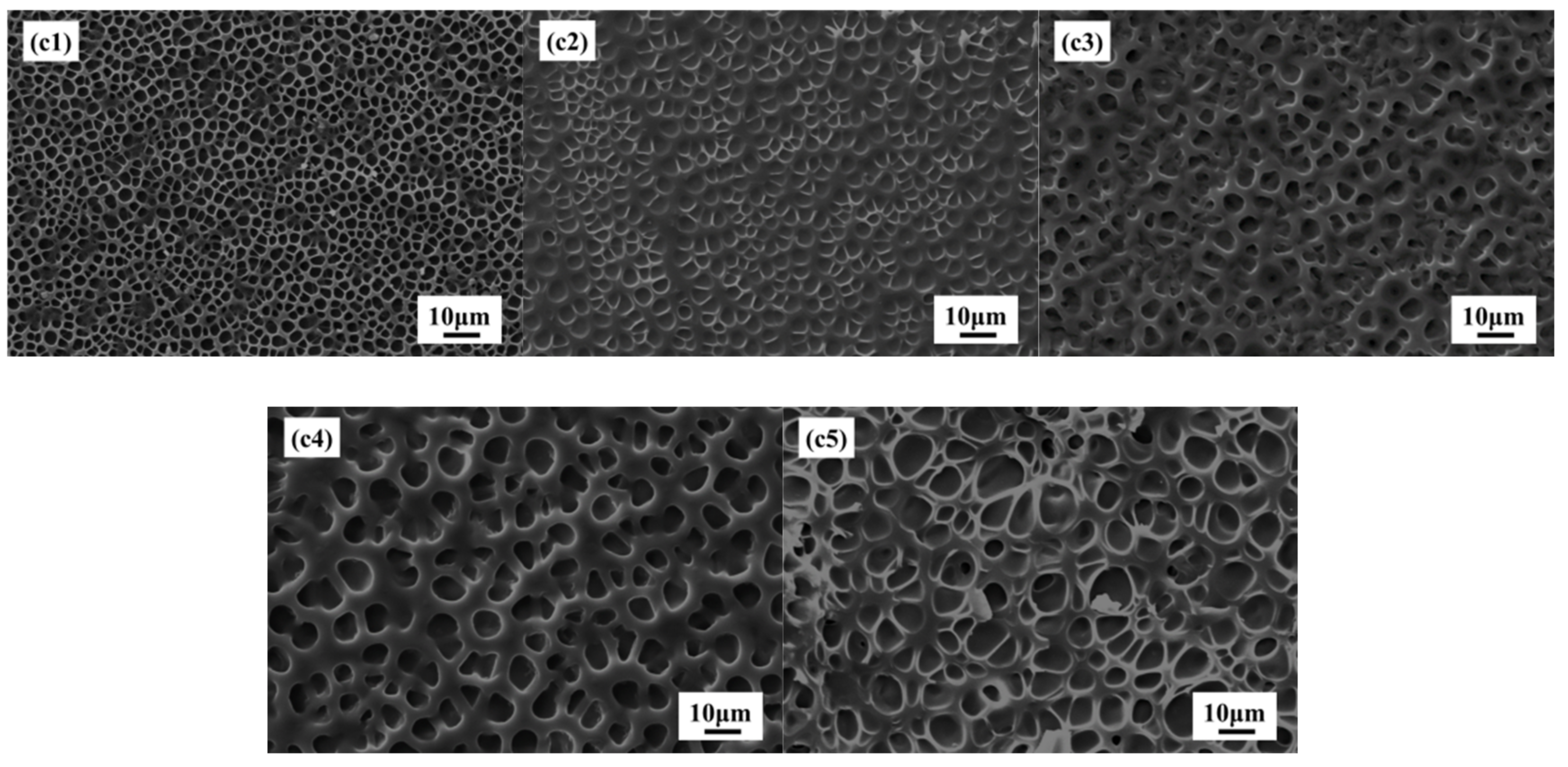 Molecules 27 07265 g007 Molecules 27 07265 g007